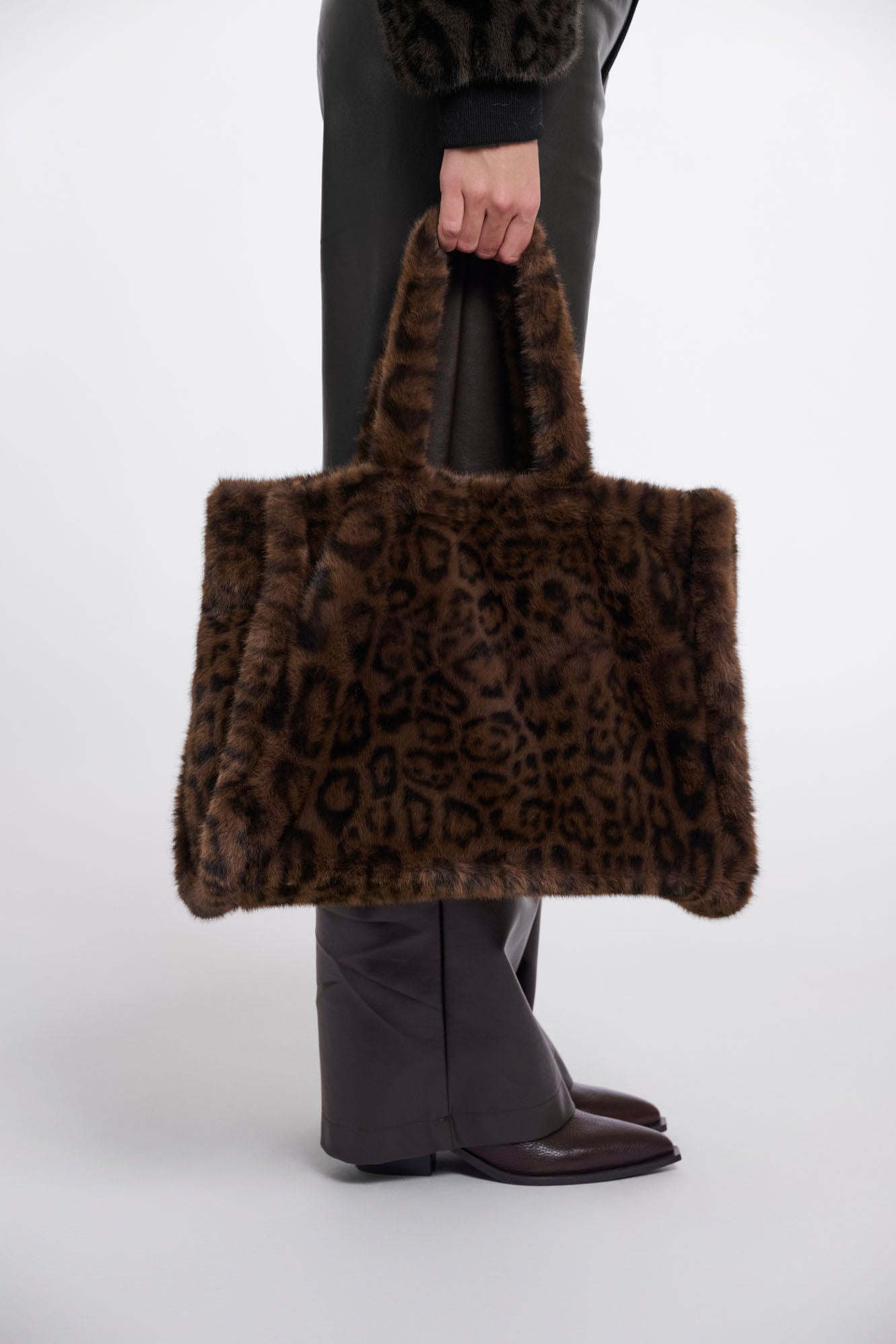 Brown leopard