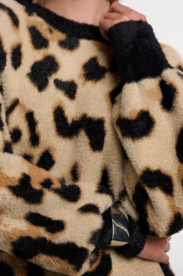 Big leopard