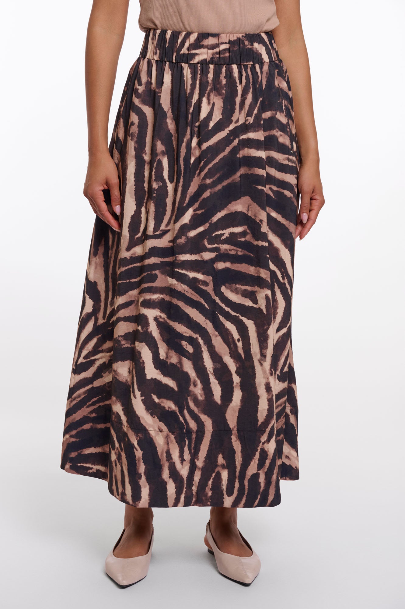Brown zebra