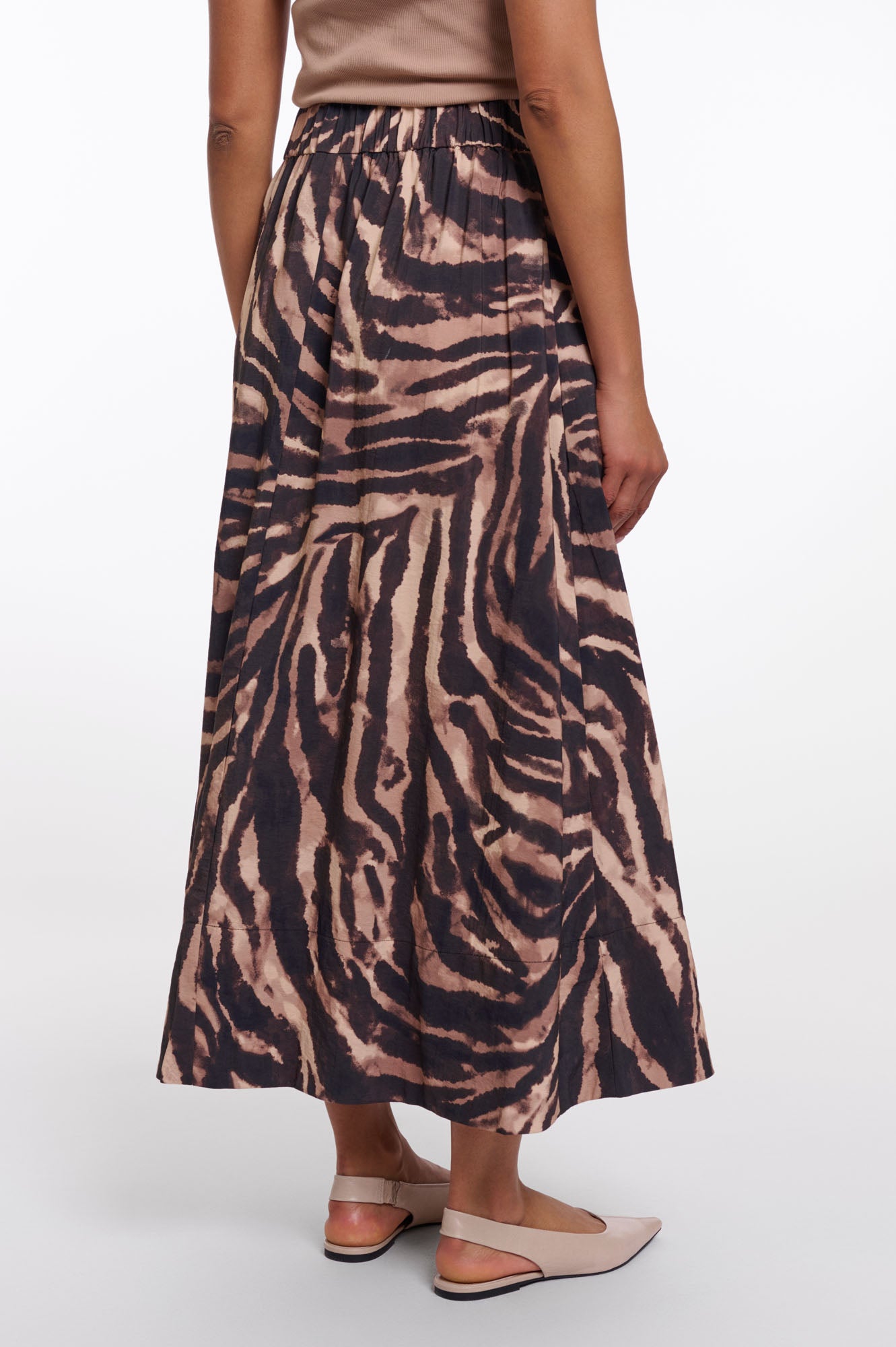 Brown zebra