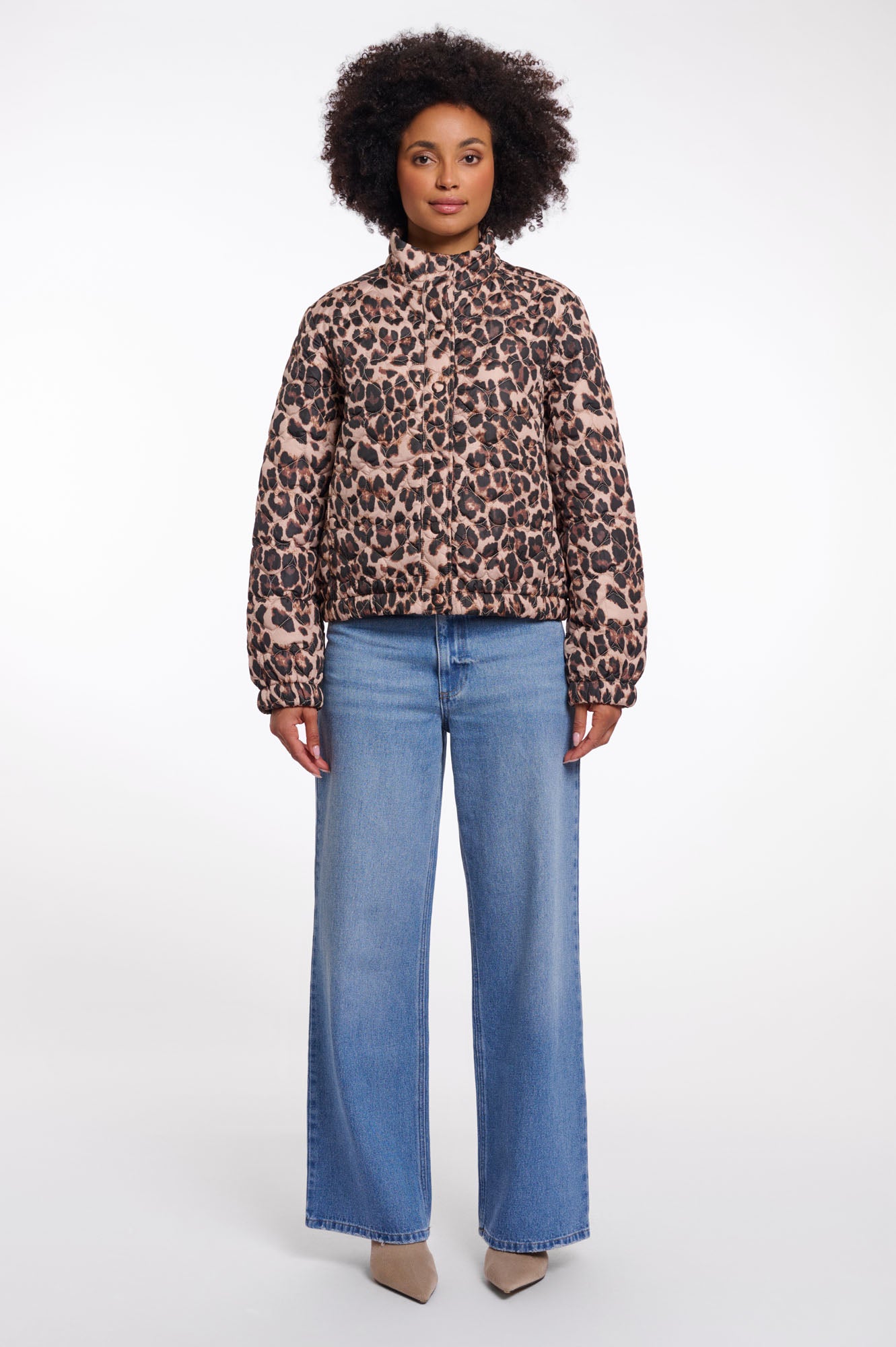 Leopard