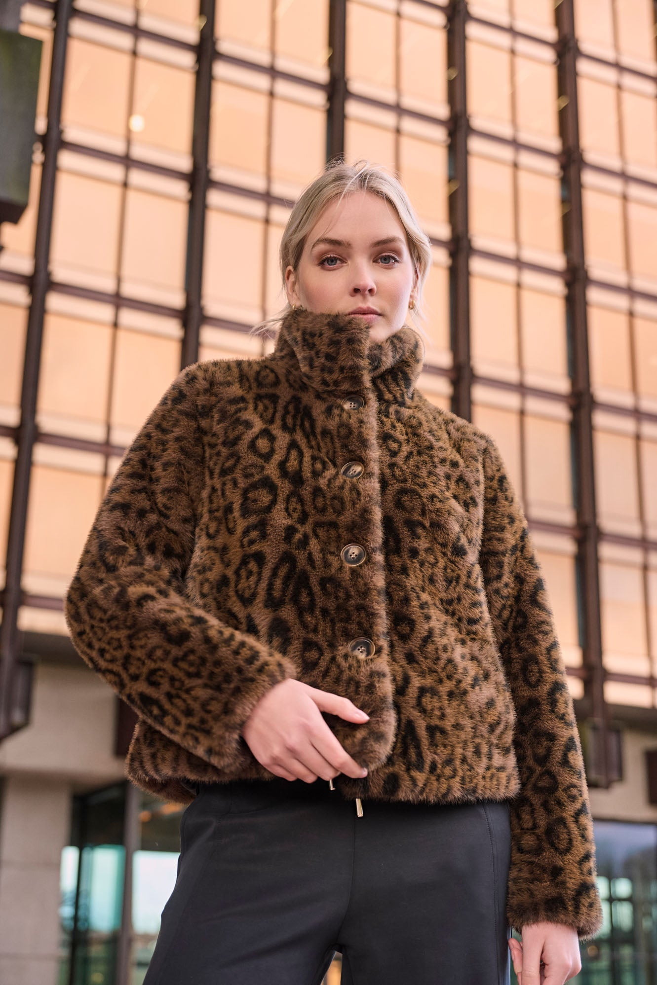 Leopard