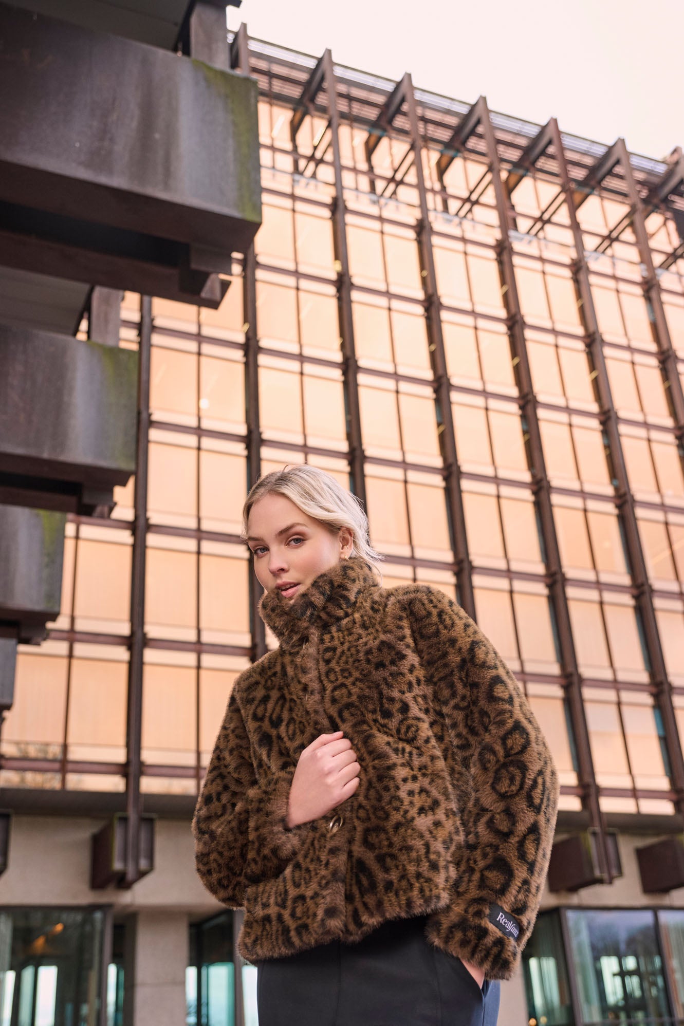 Leopard