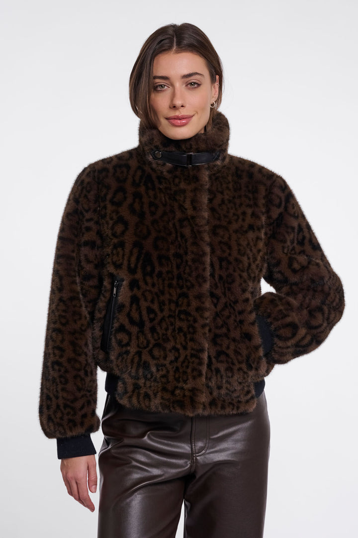 Brown leopard