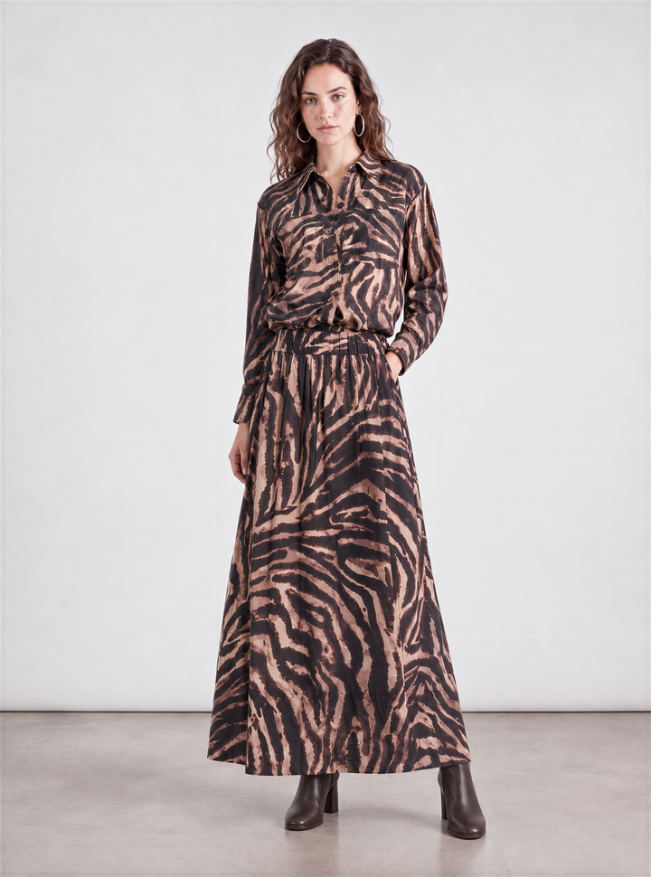Brown zebra