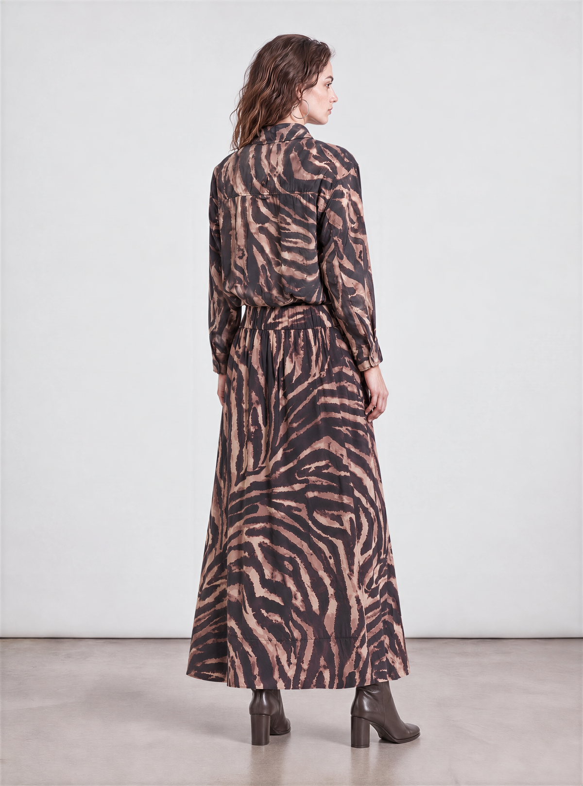 Brown zebra