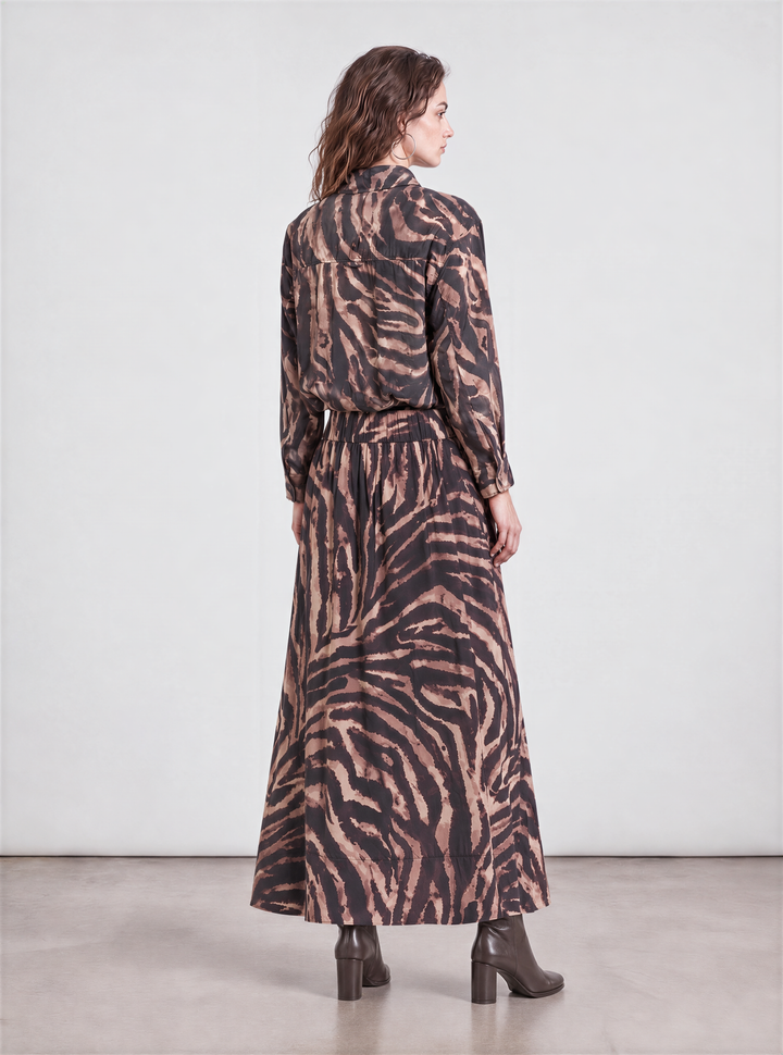 Brown zebra