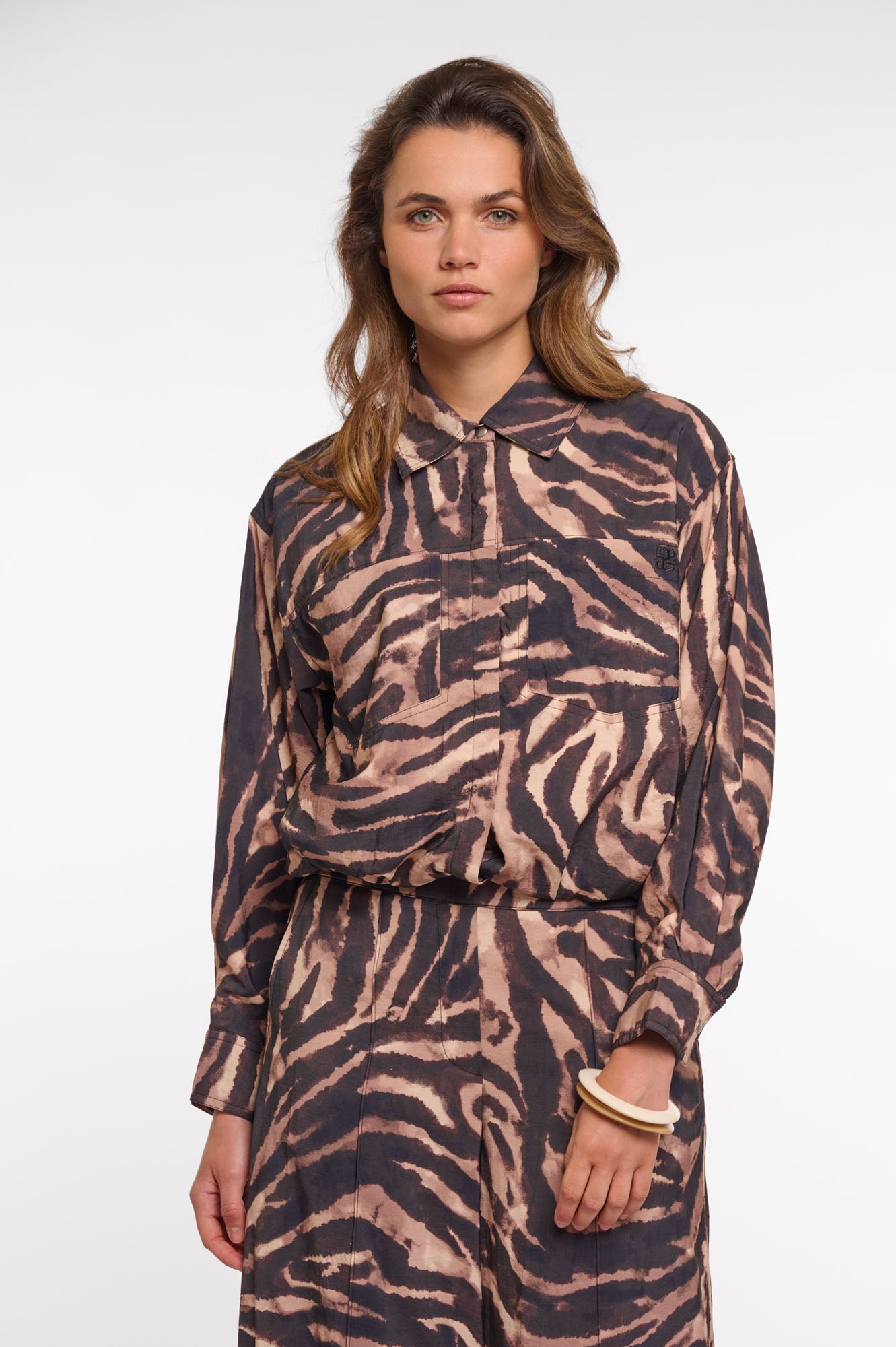 Brown zebra