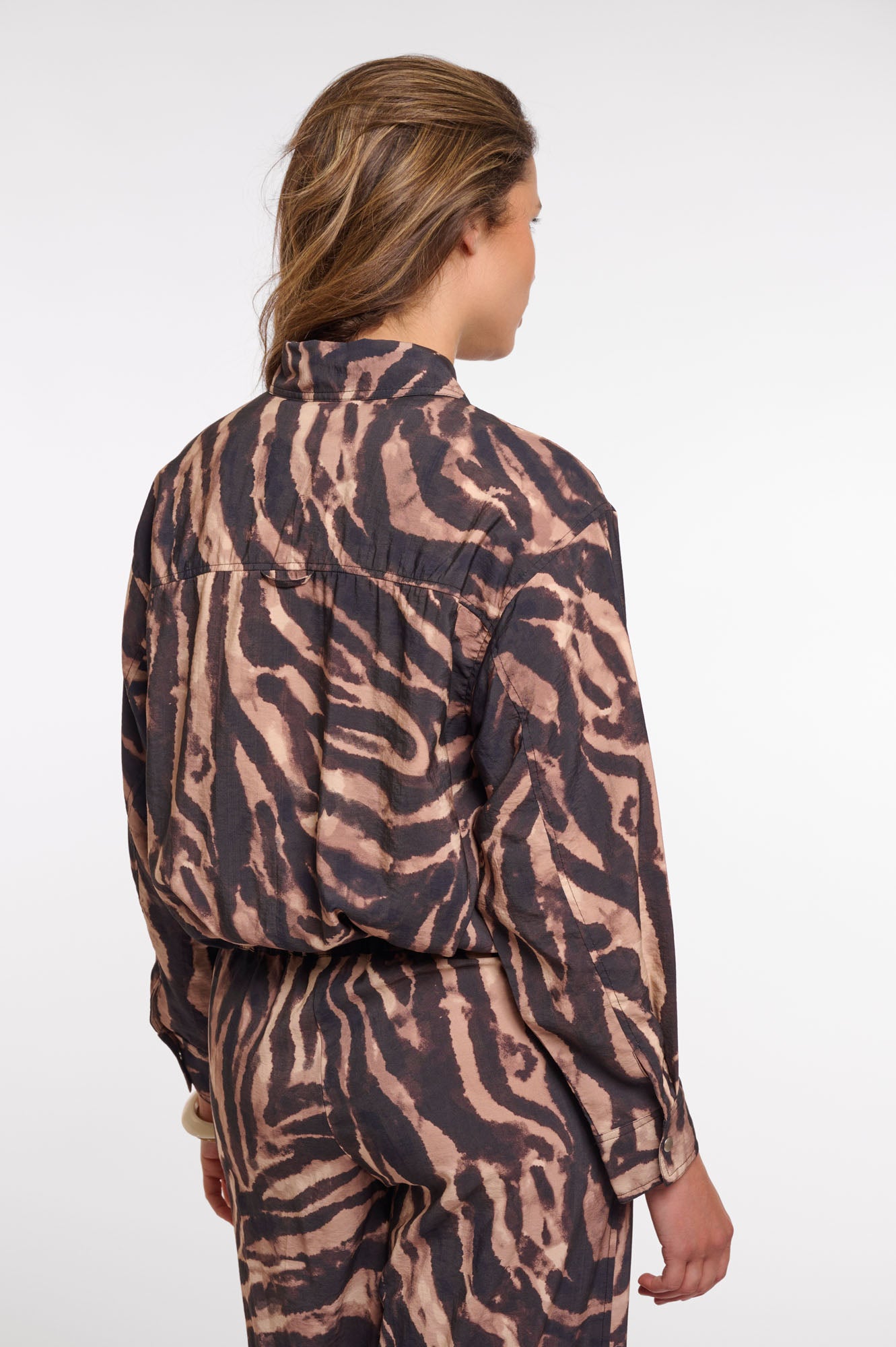 Brown zebra