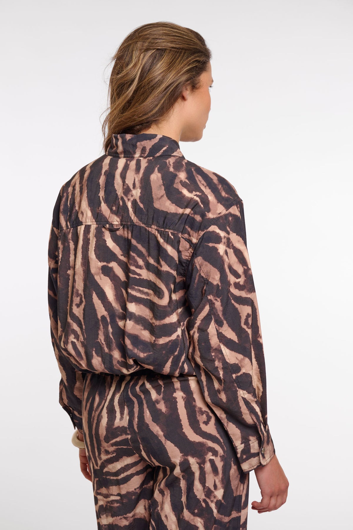 Brown zebra