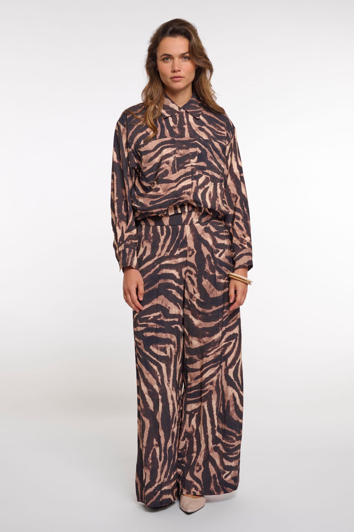 Brown zebra