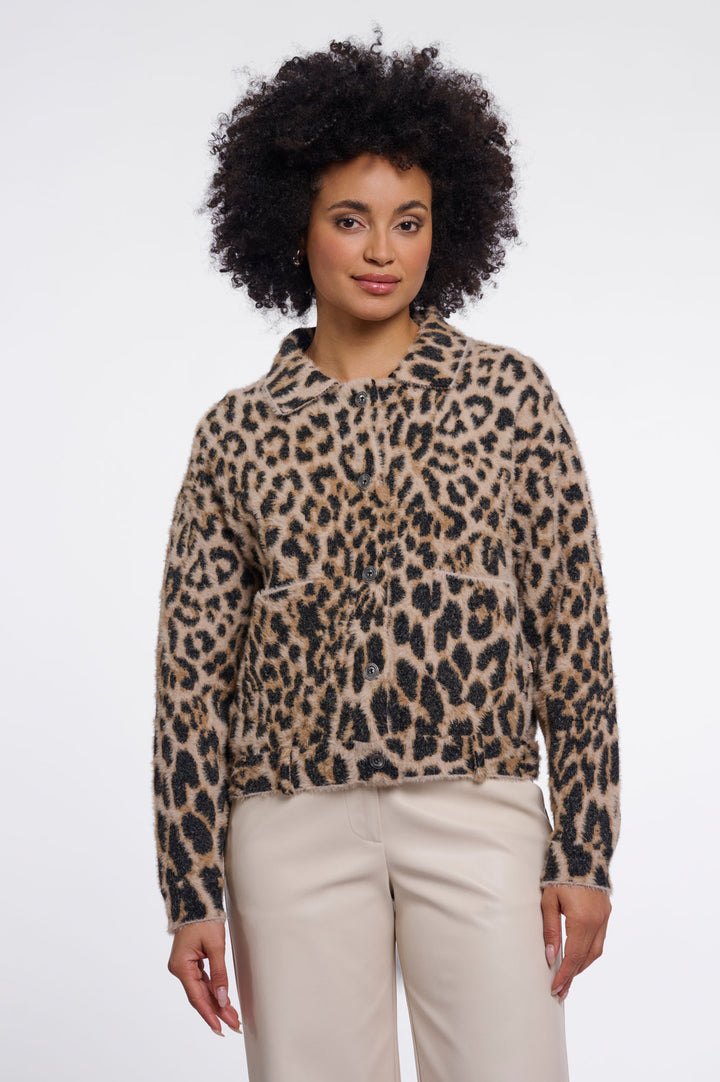 Light leopard