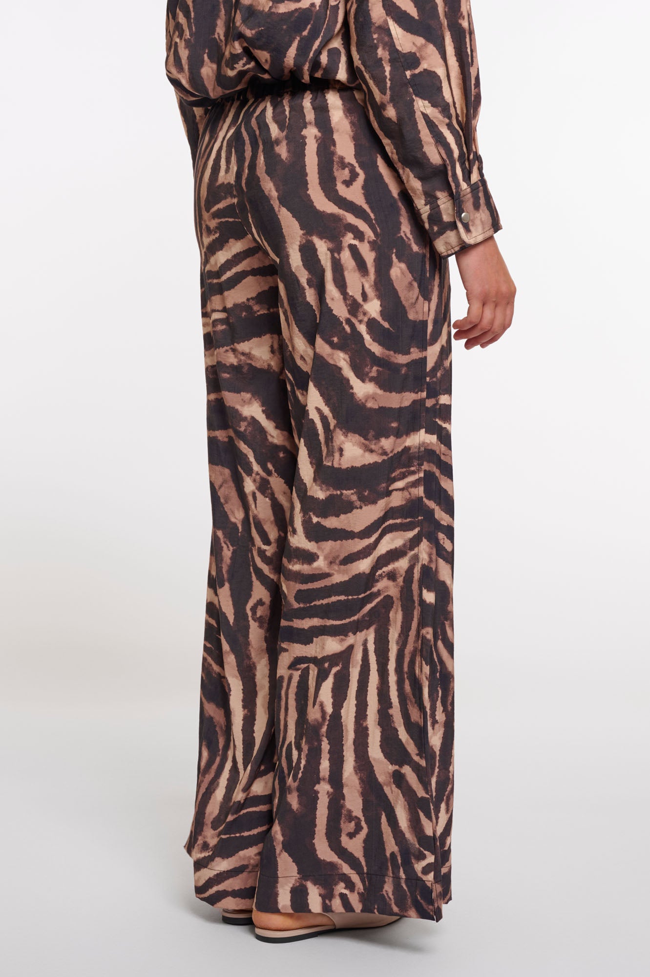 Brown zebra