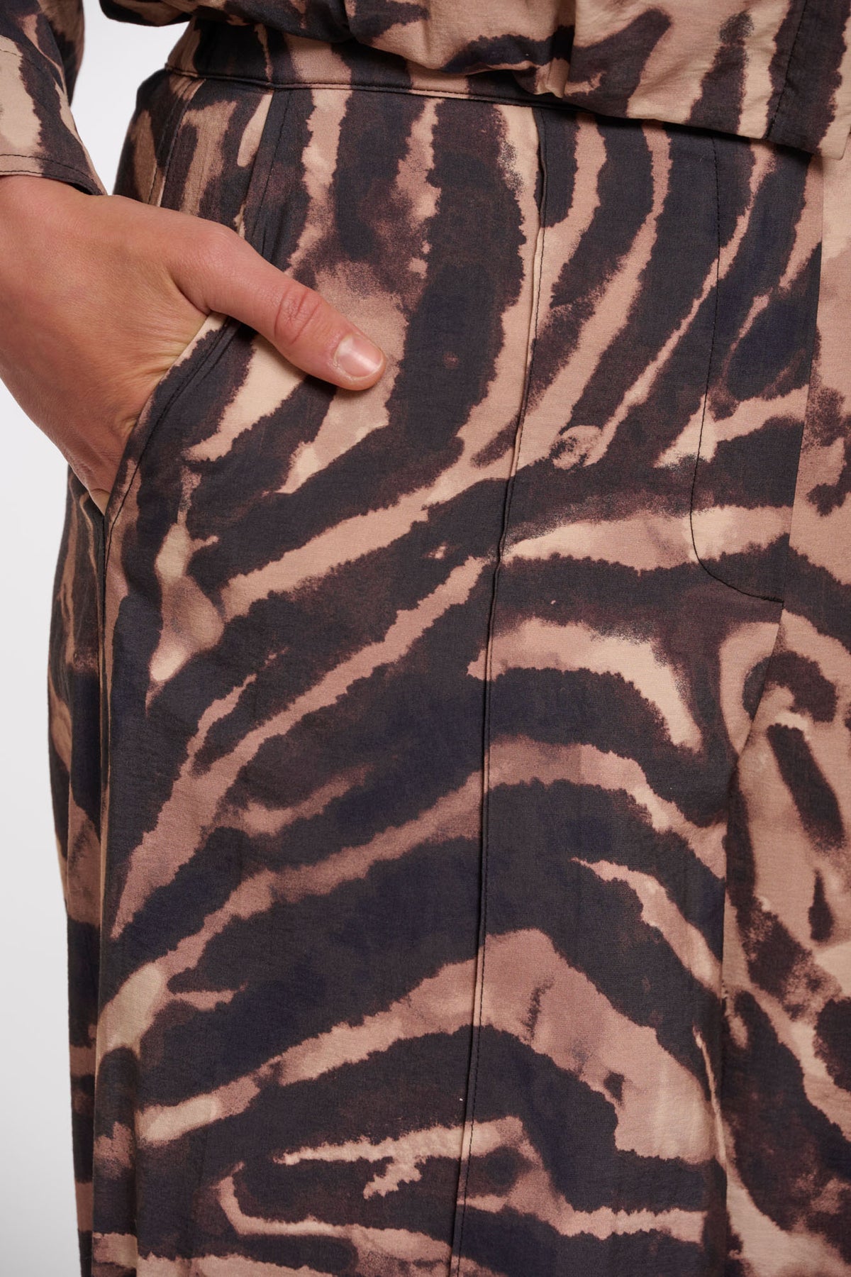 Brown zebra