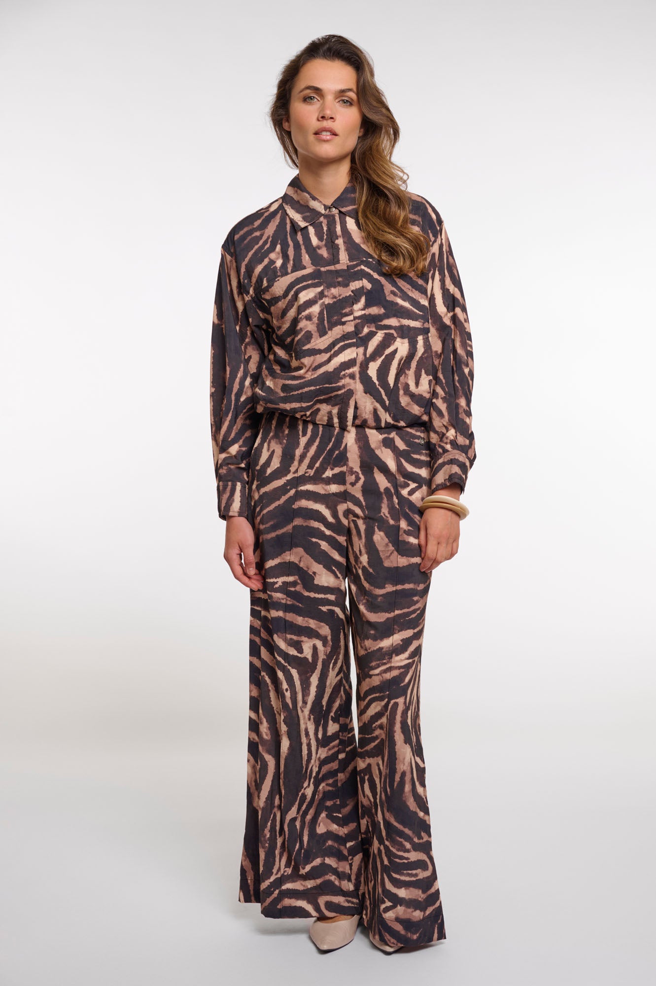 Brown zebra