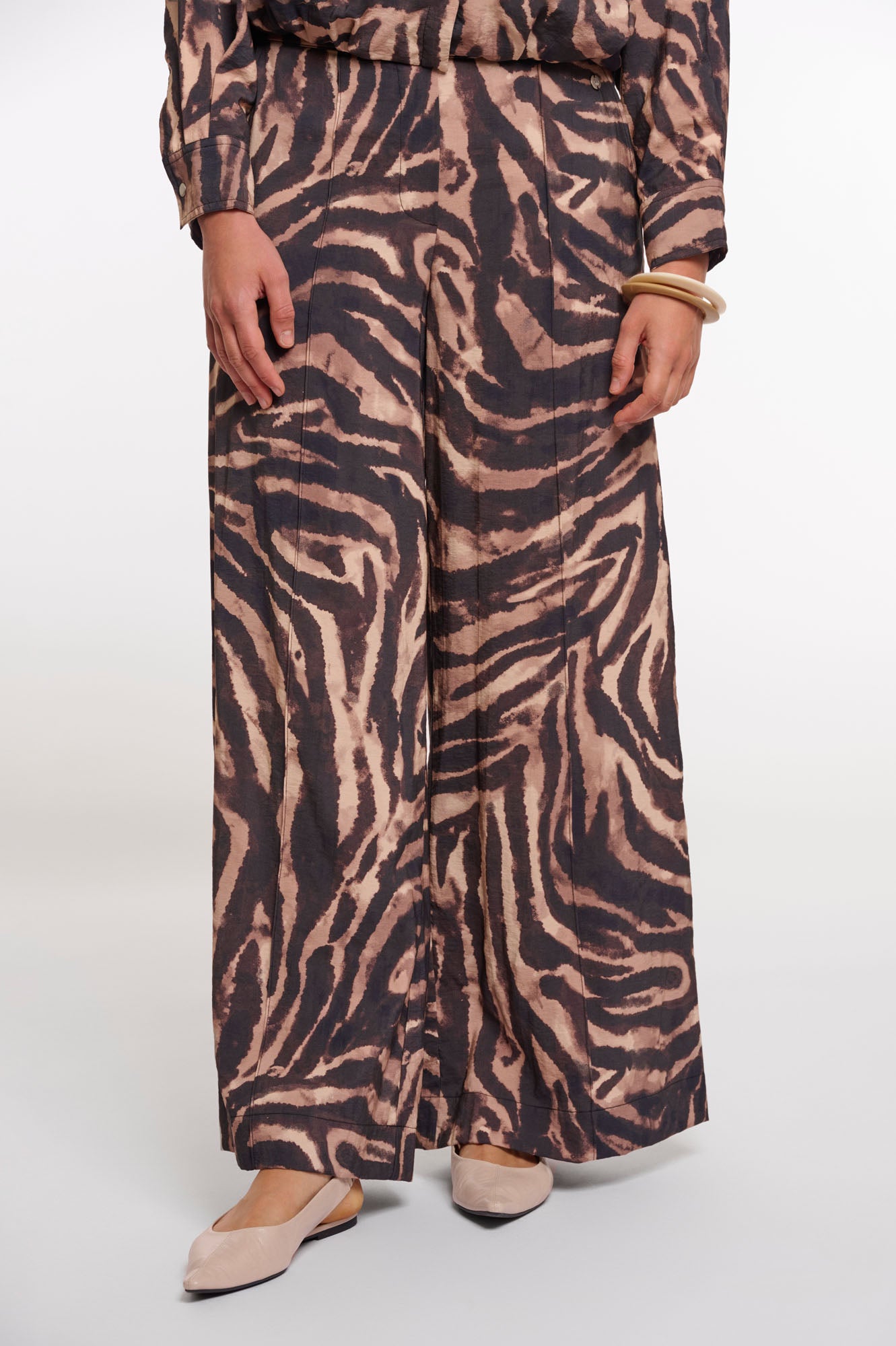 Brown zebra