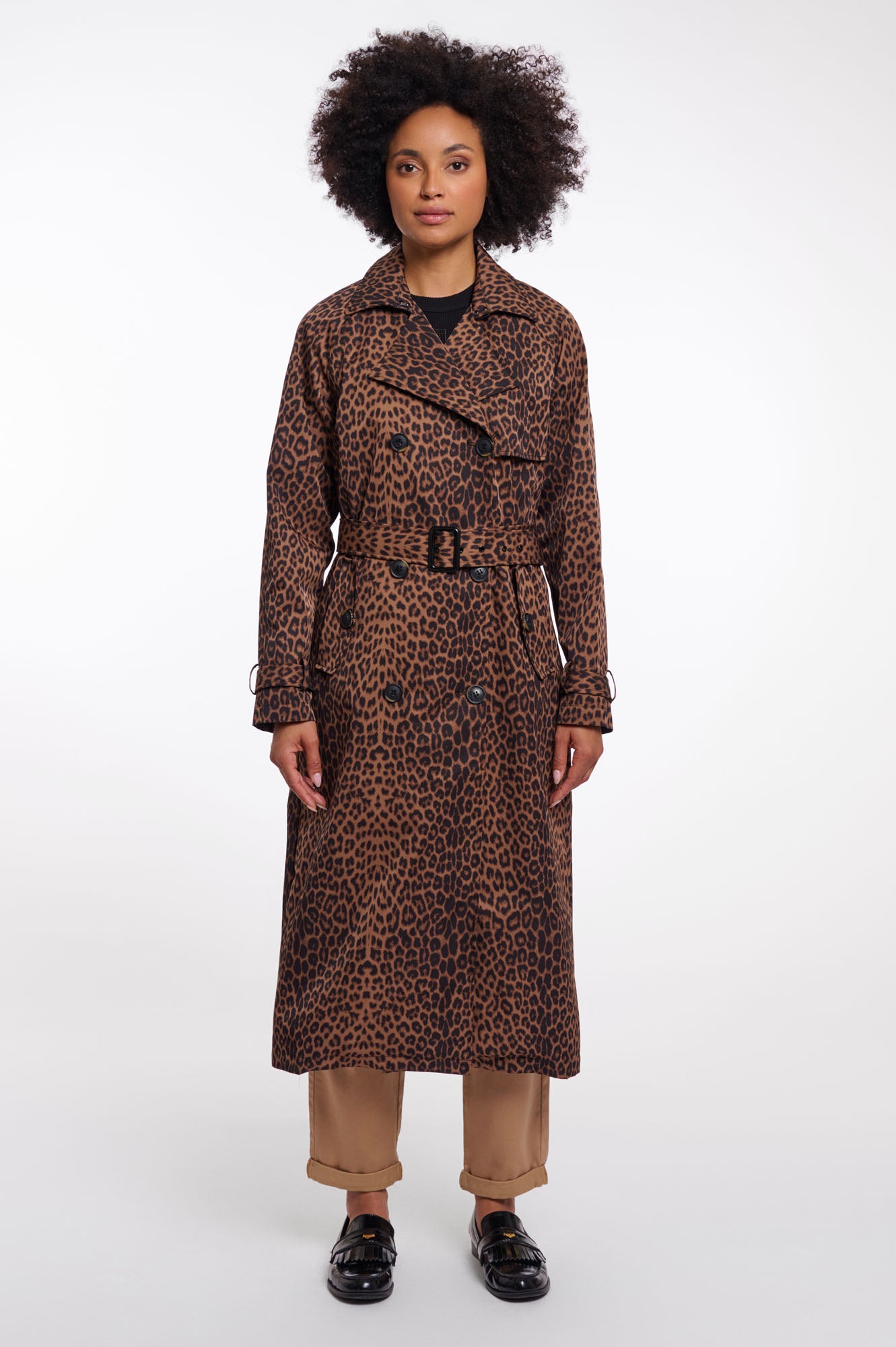 Leopard