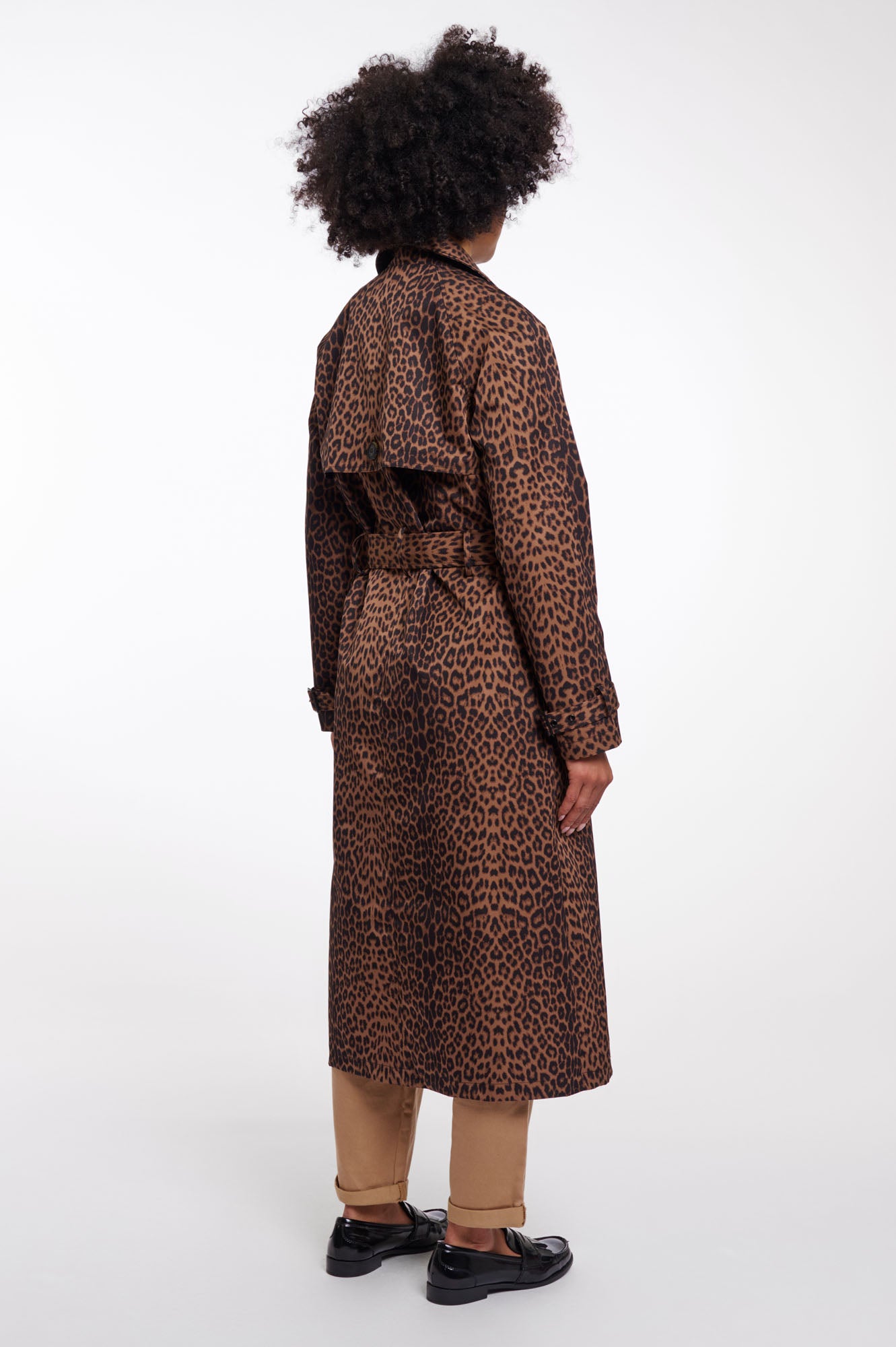 Leopard