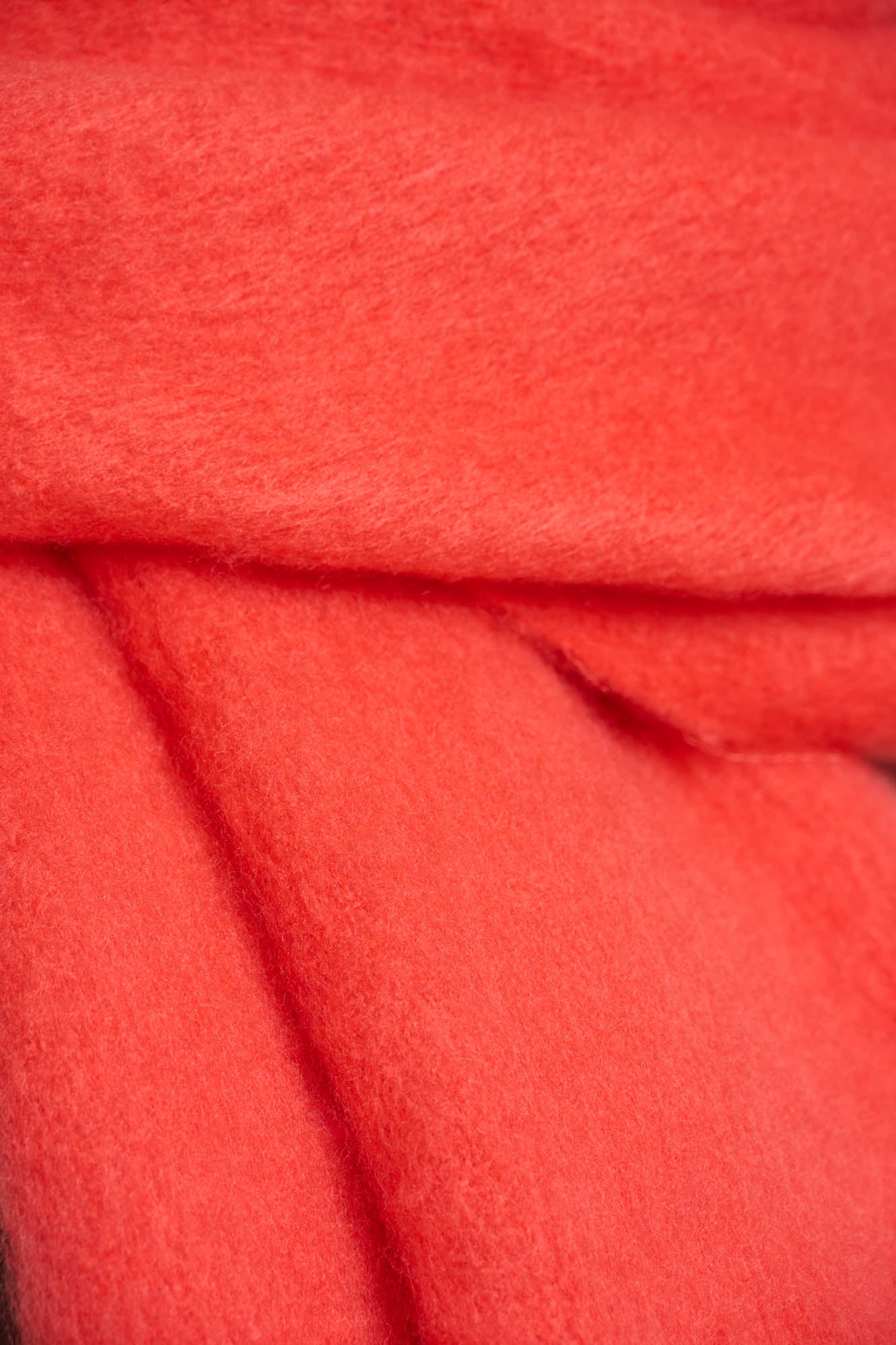 Bright coral