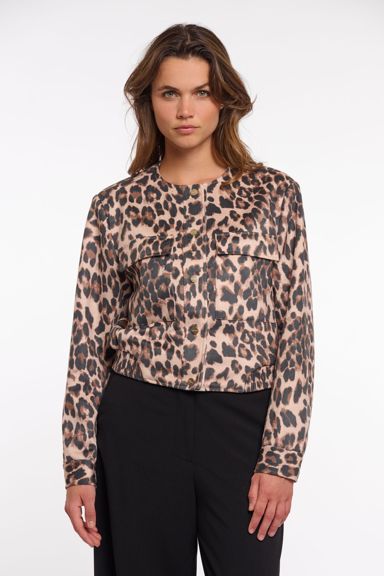 Leopard