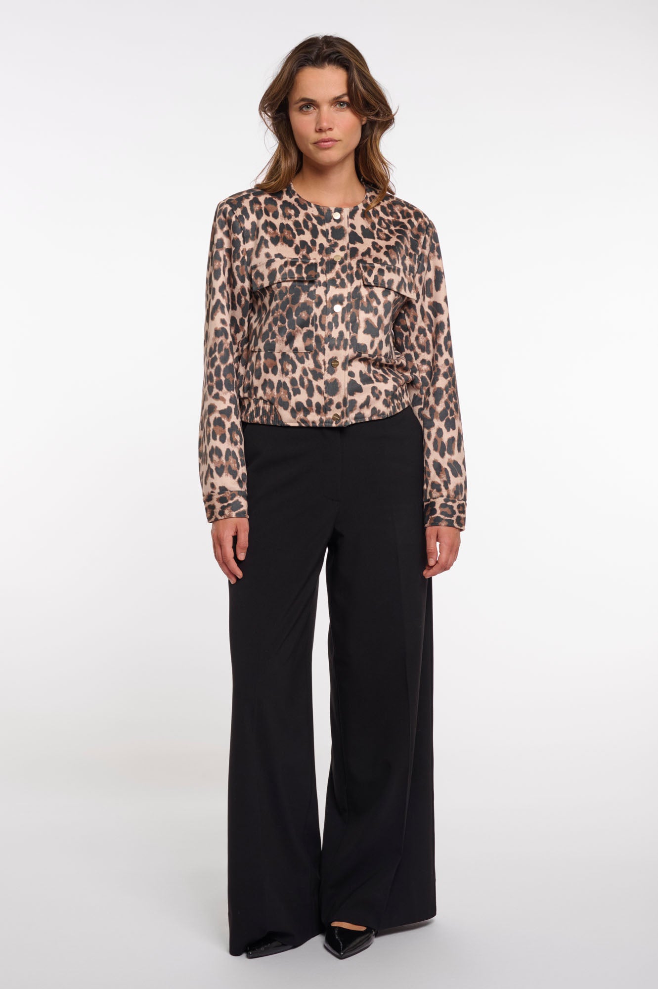 Leopard