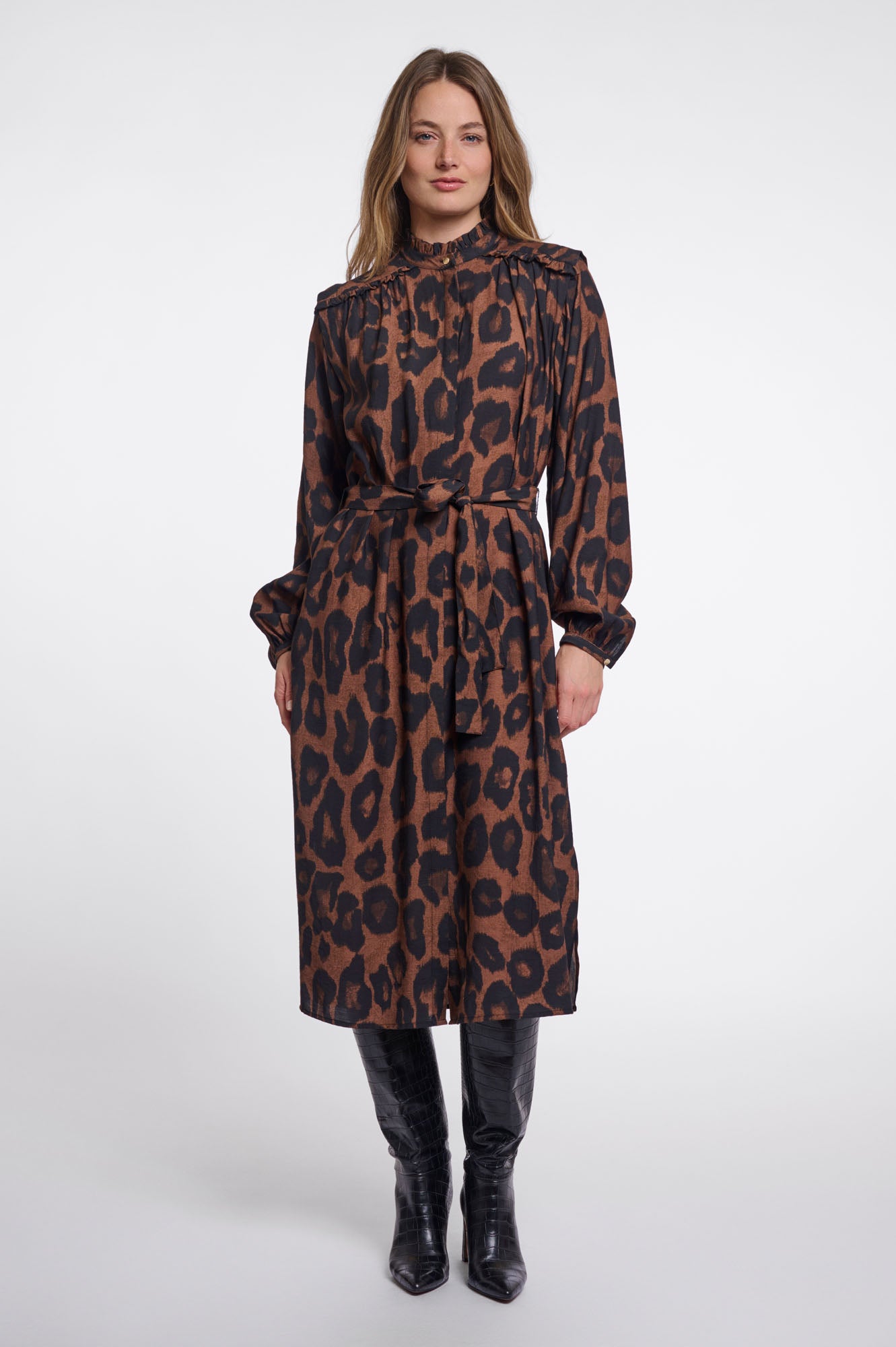 Brown leopard