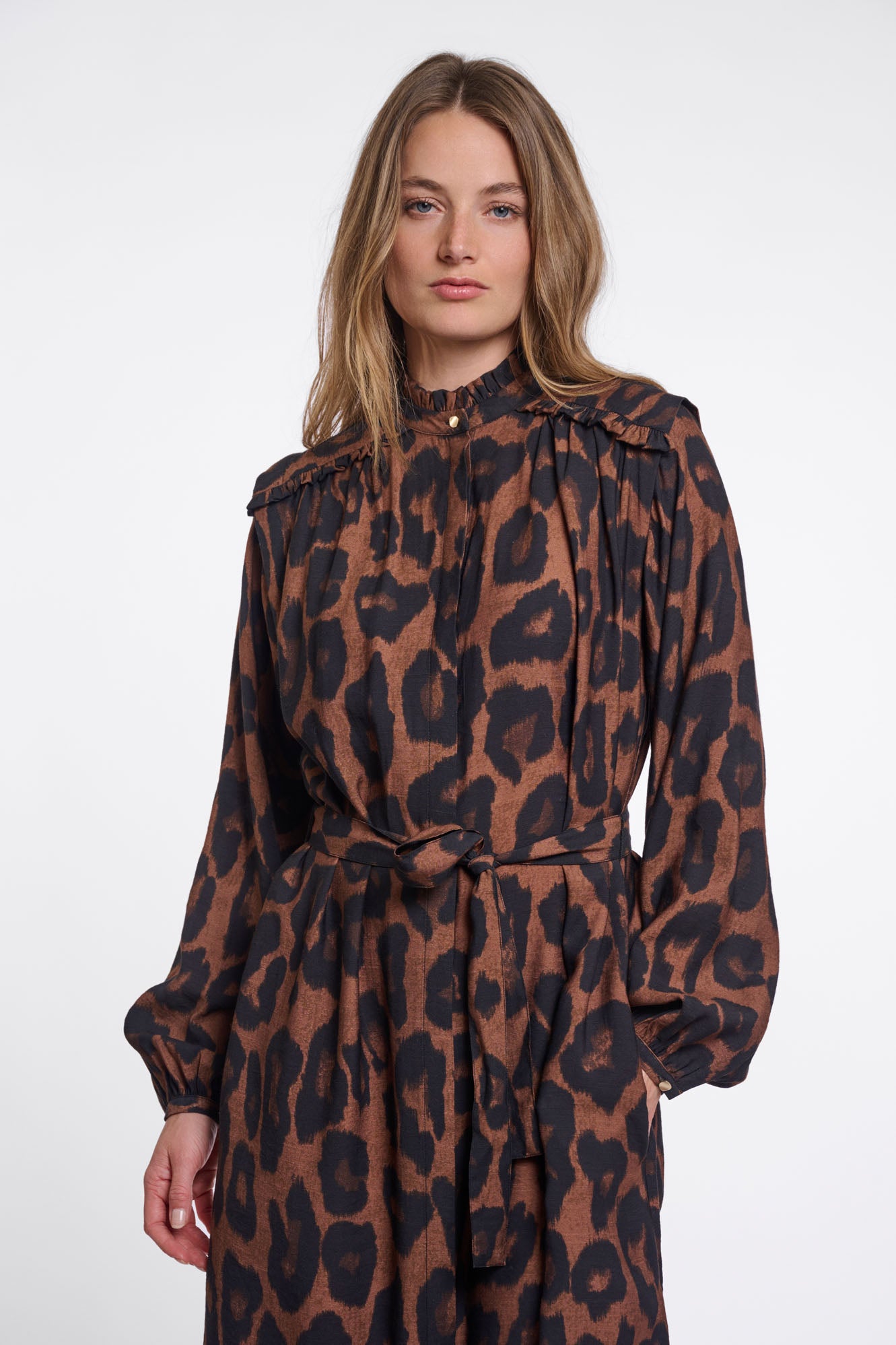 Brown leopard