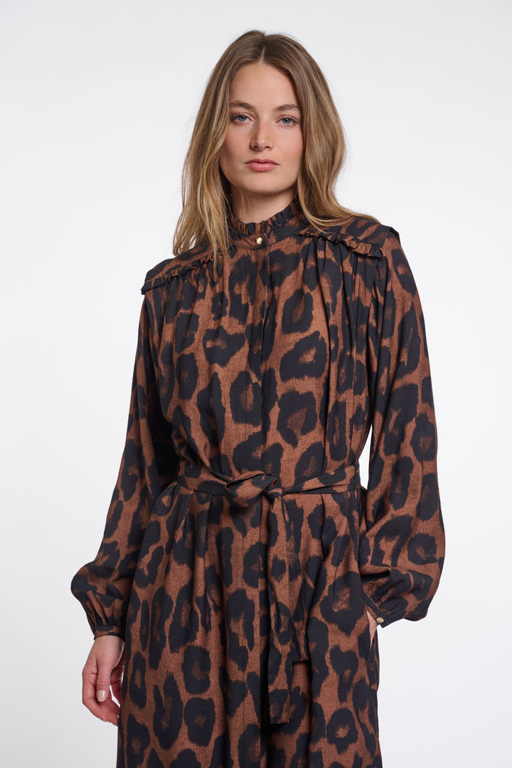 Brown leopard
