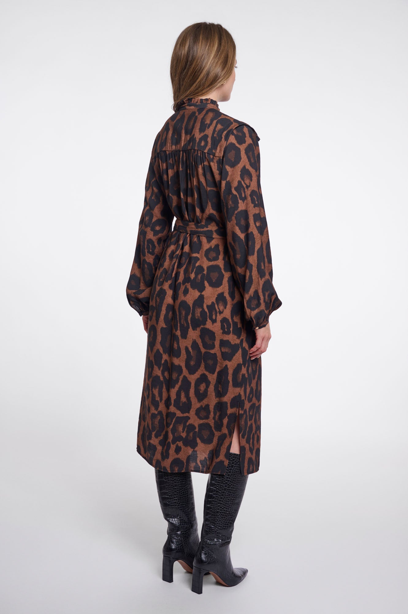 Brown leopard