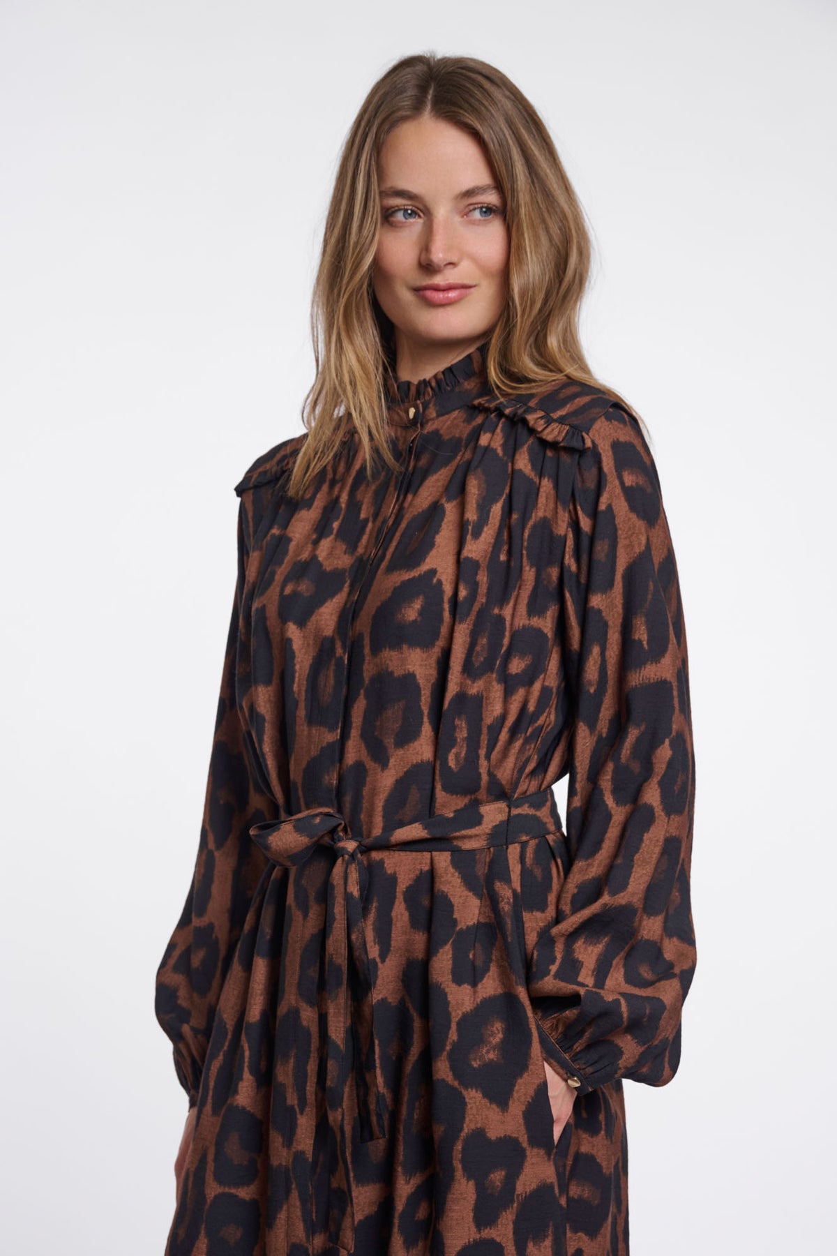 Brown leopard