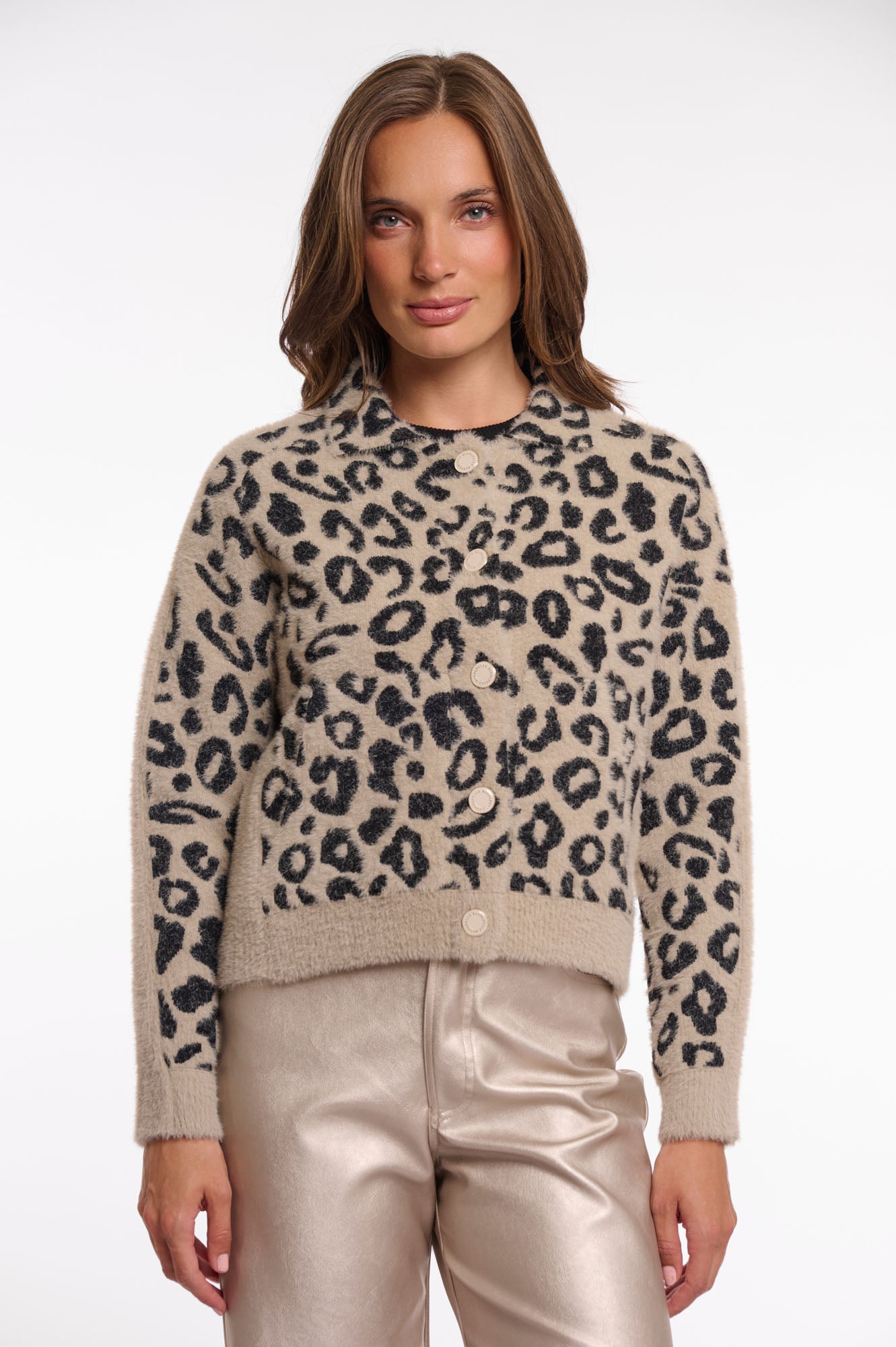 Desert leopard
