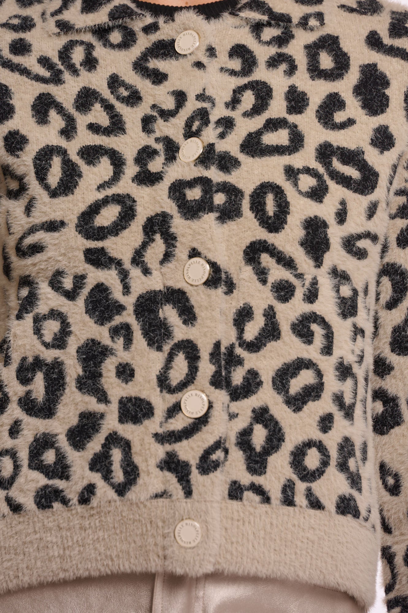 Desert leopard