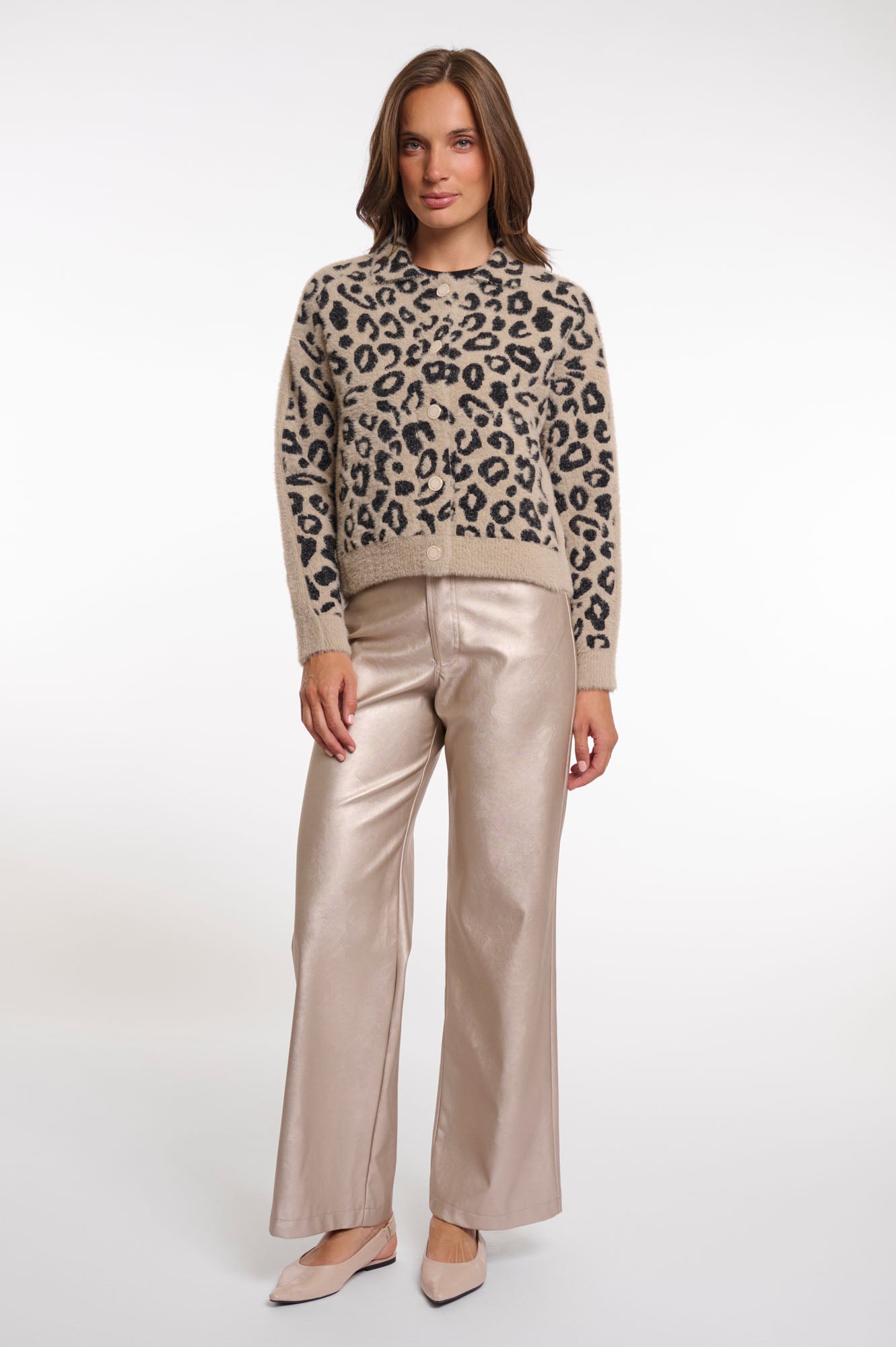 Desert leopard