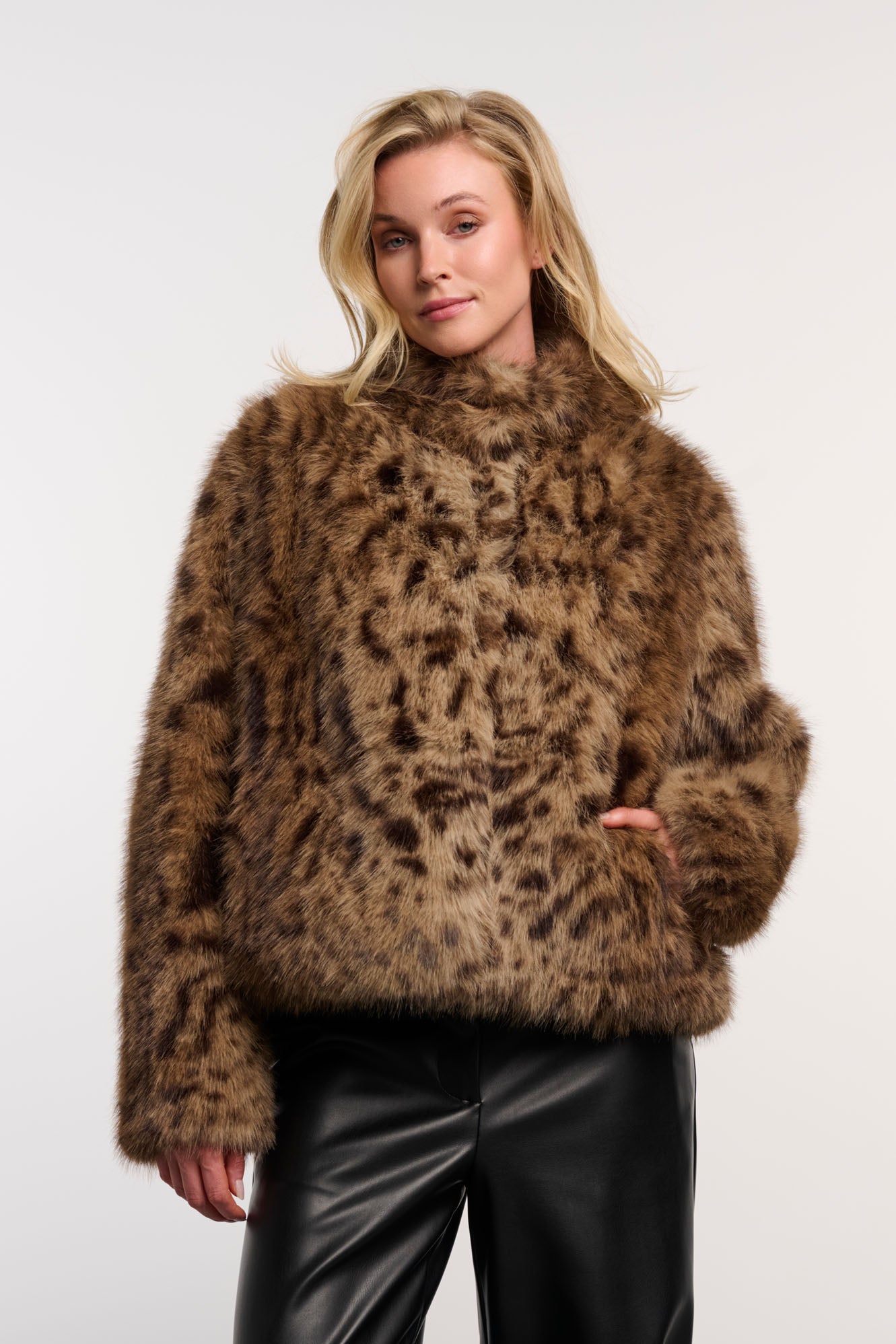 Cheetah