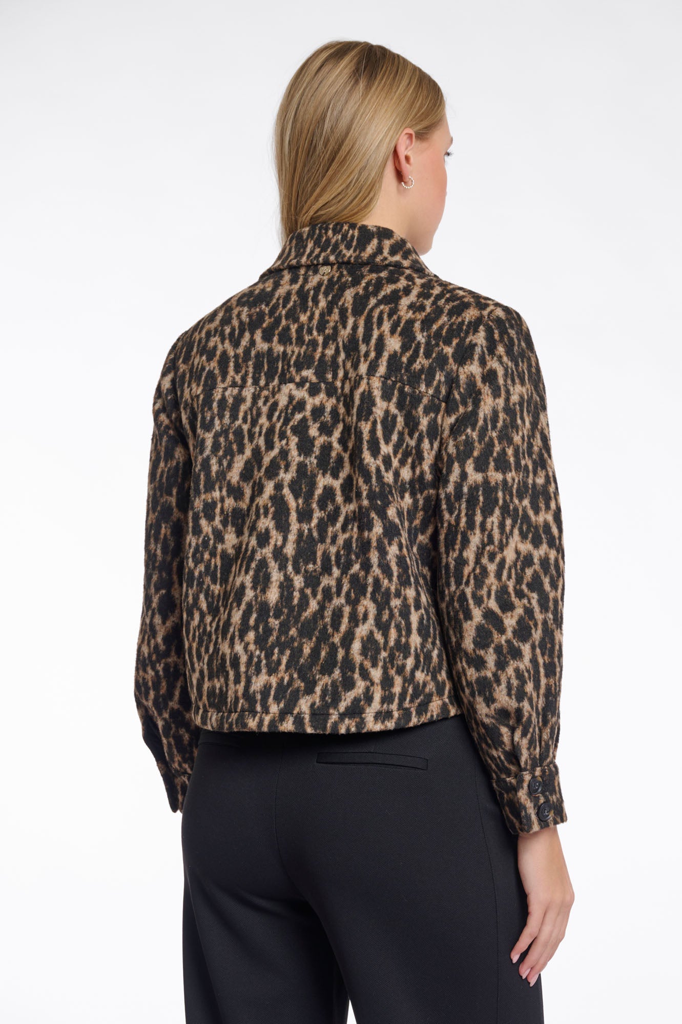 Leopard