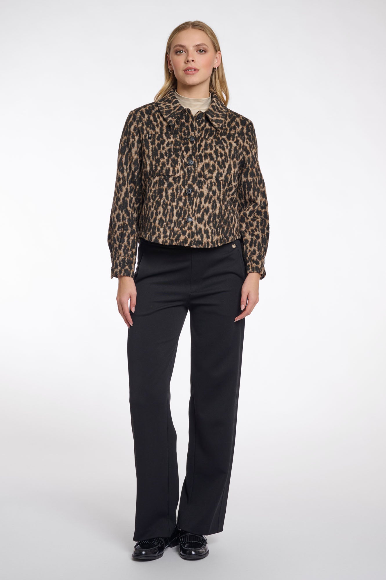 Leopard