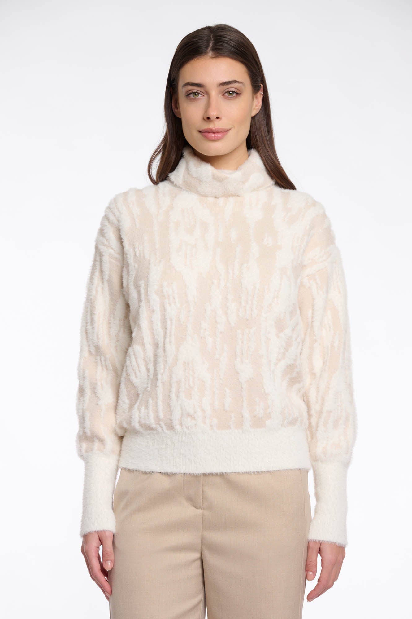 Birch snow zebra