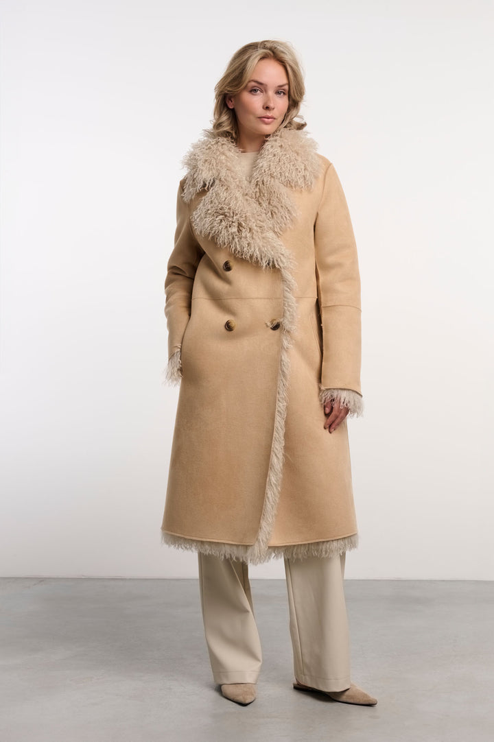 Beige birch
