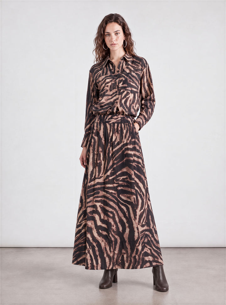 Brown zebra