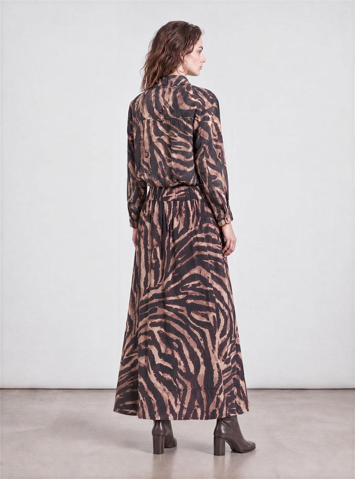 Brown zebra