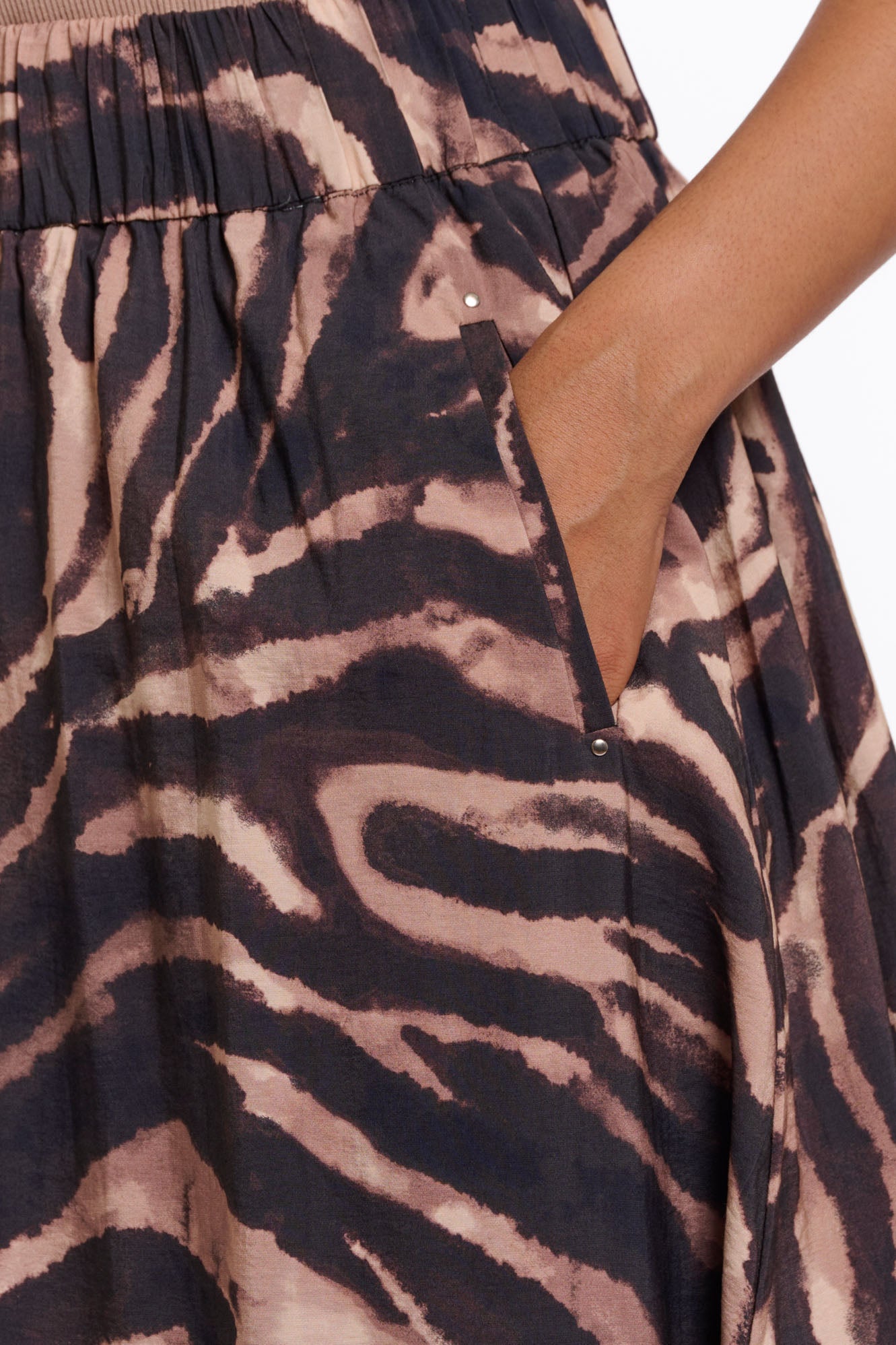 Brown zebra
