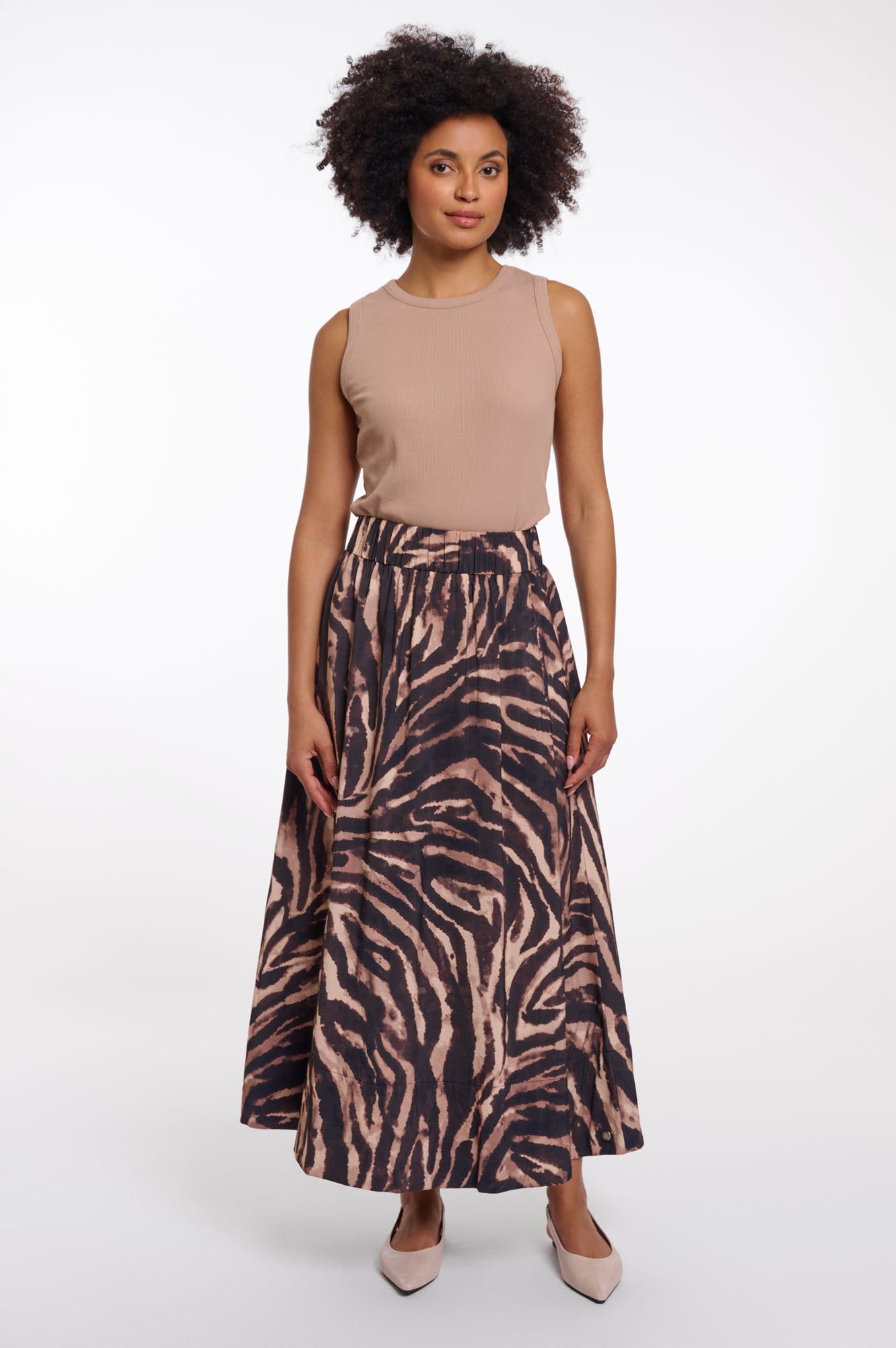 Brown zebra