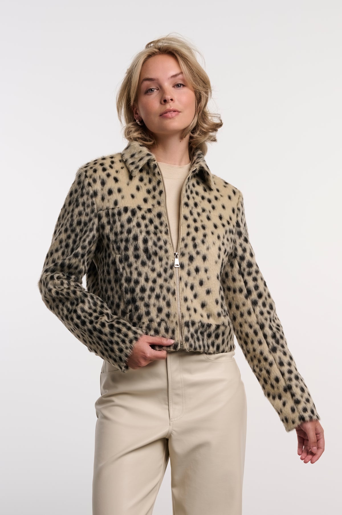 Cheetah