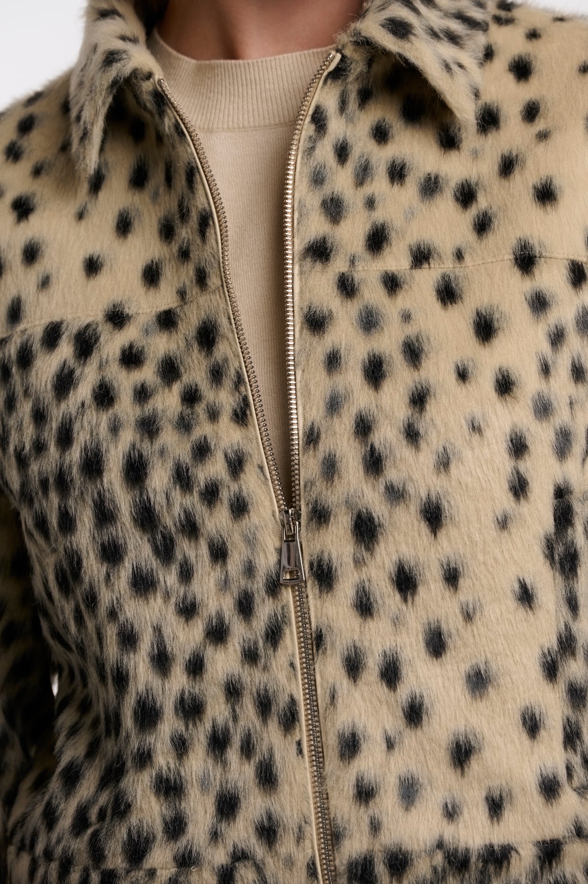 Cheetah