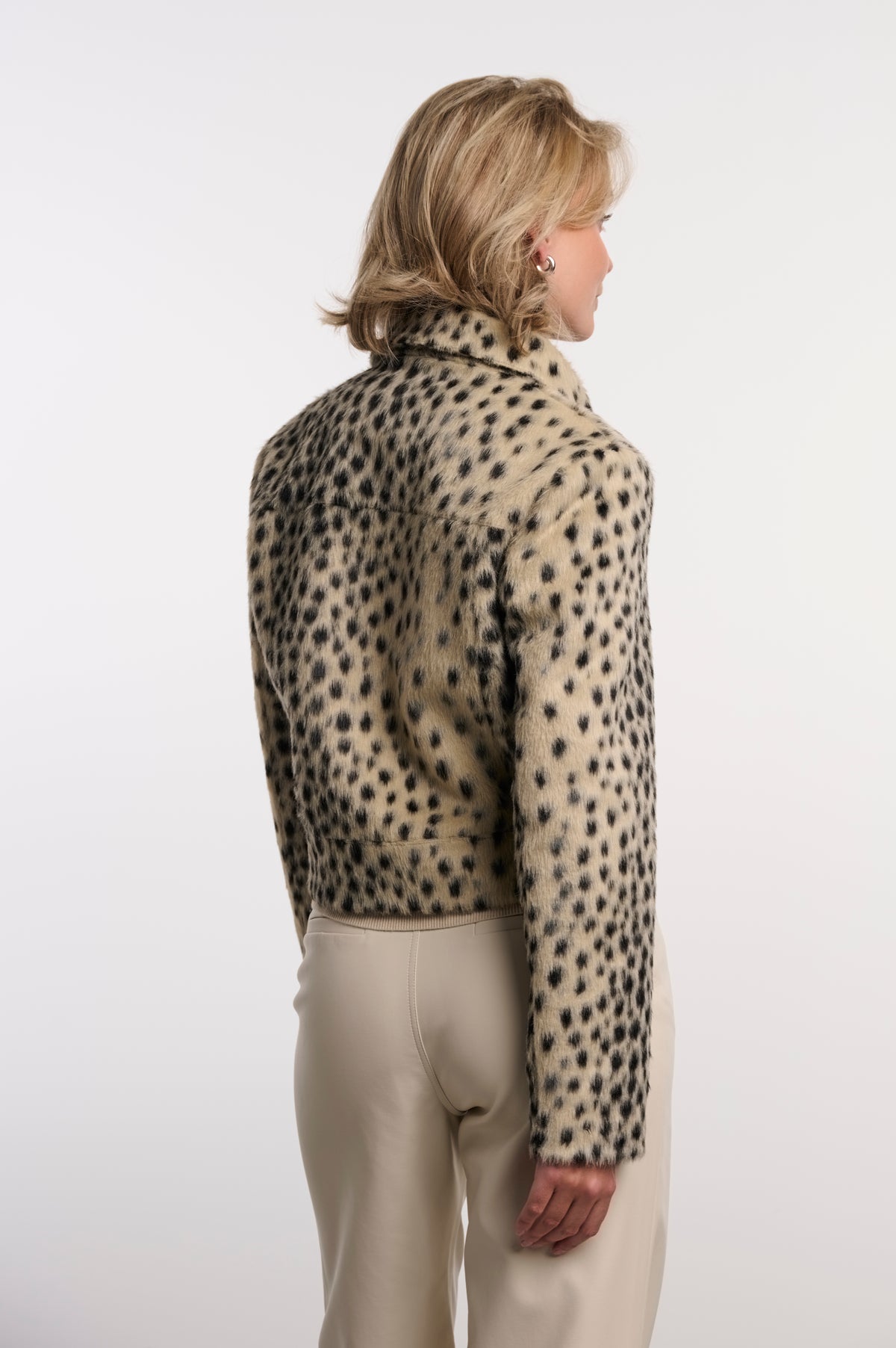 Cheetah