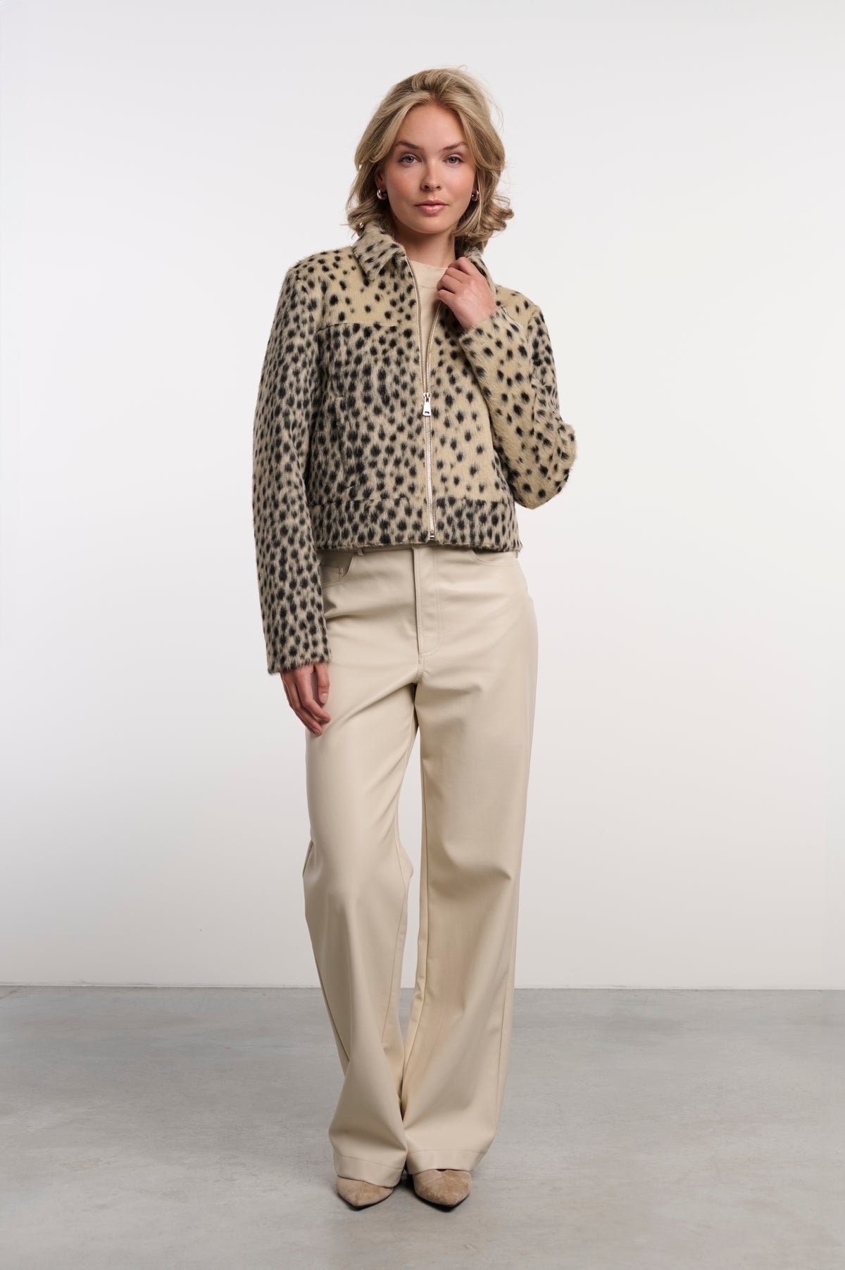 Cheetah