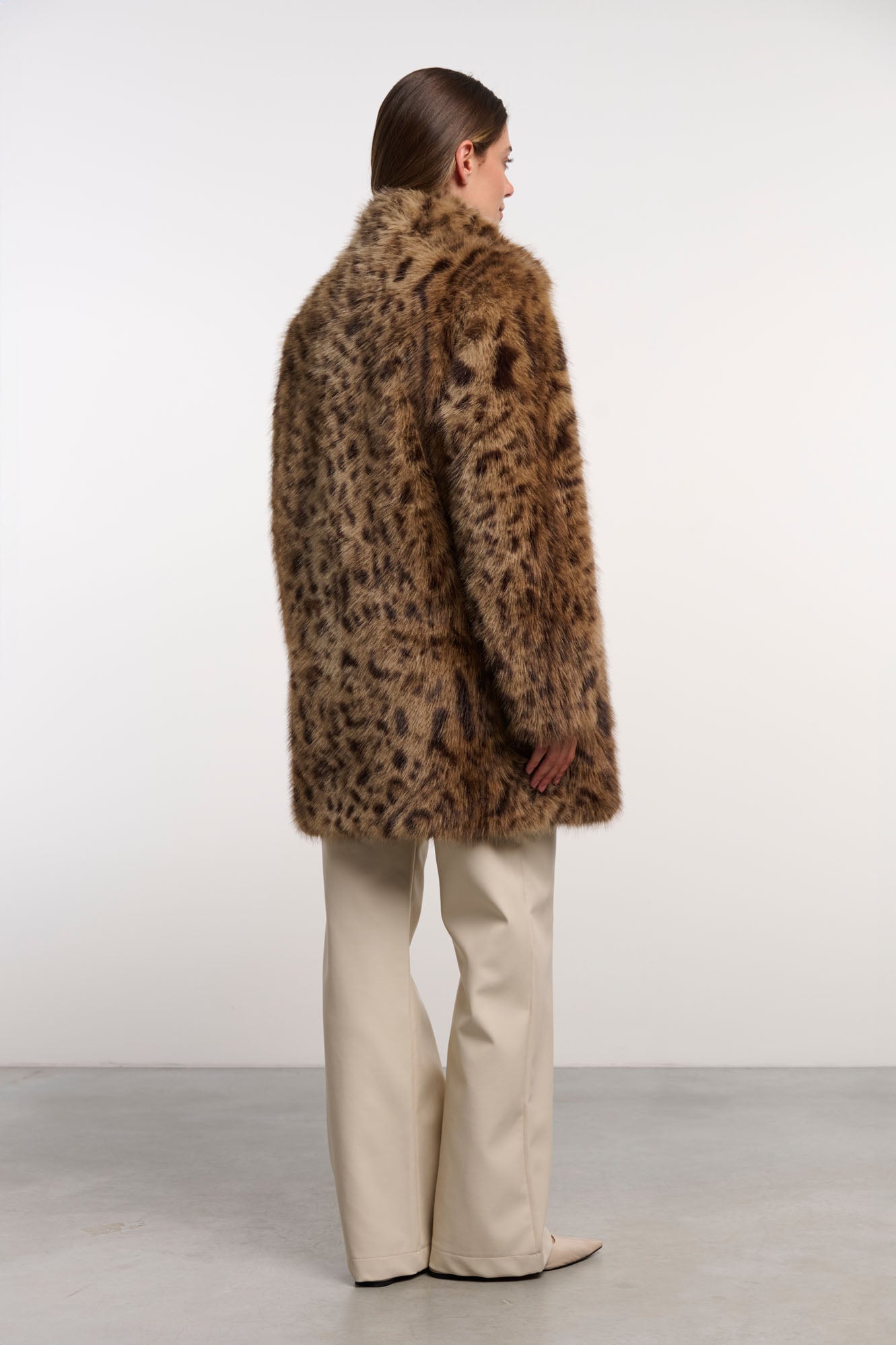 Cheetah