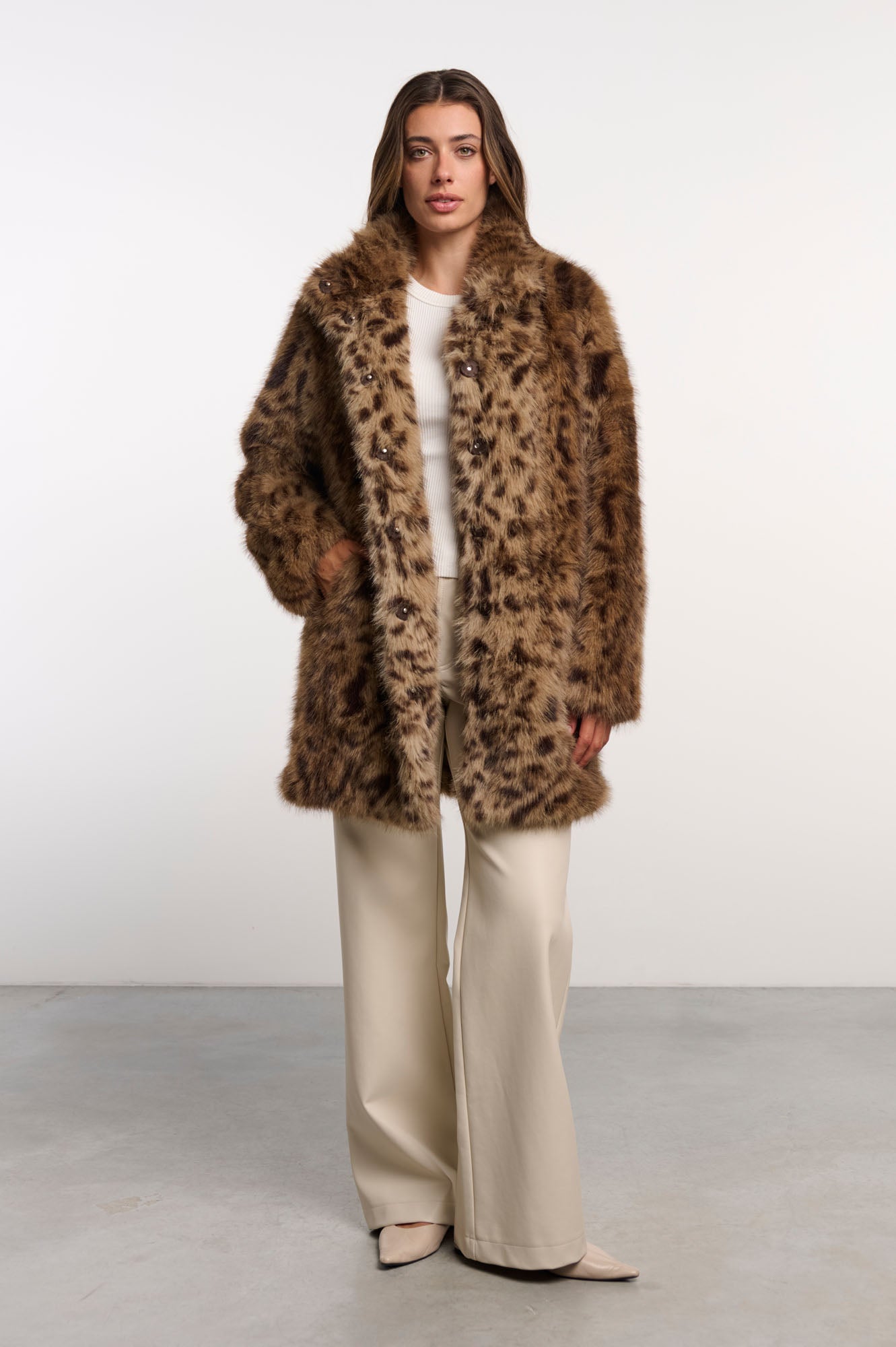 Cheetah